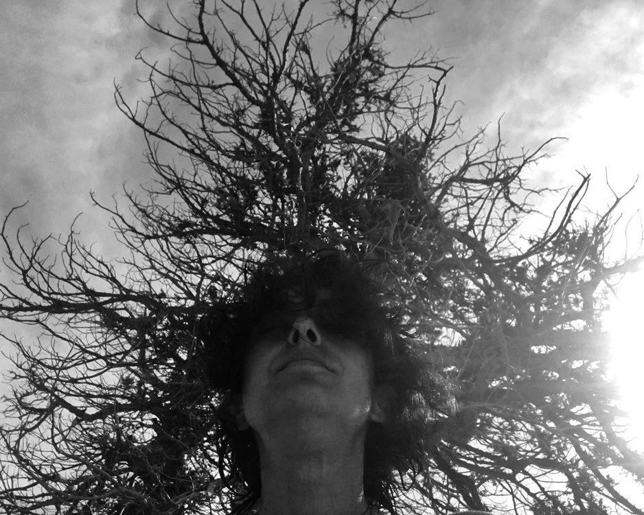 © 2024 Petti Fotografia-art photography