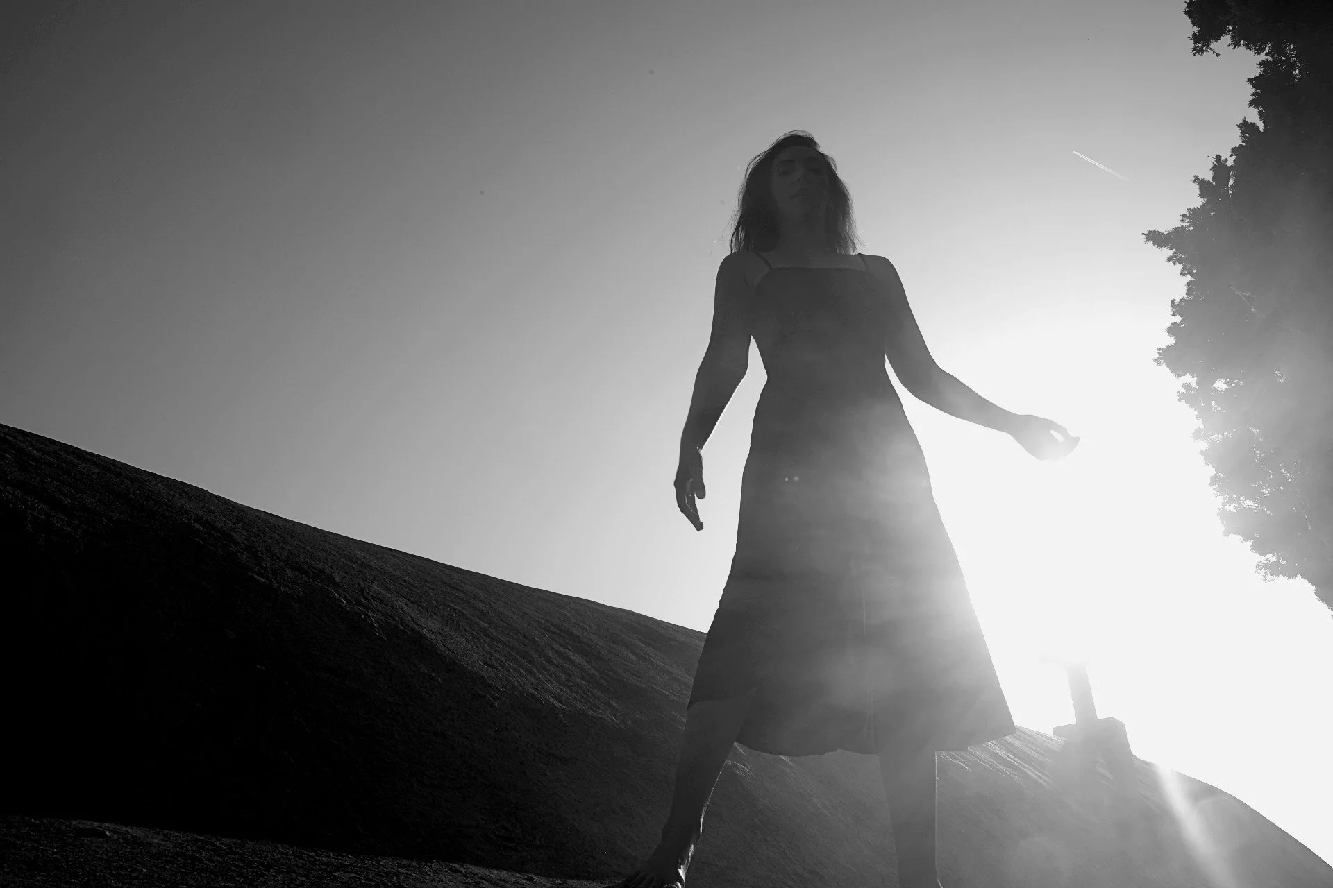 © 2024 Petti Fotografia