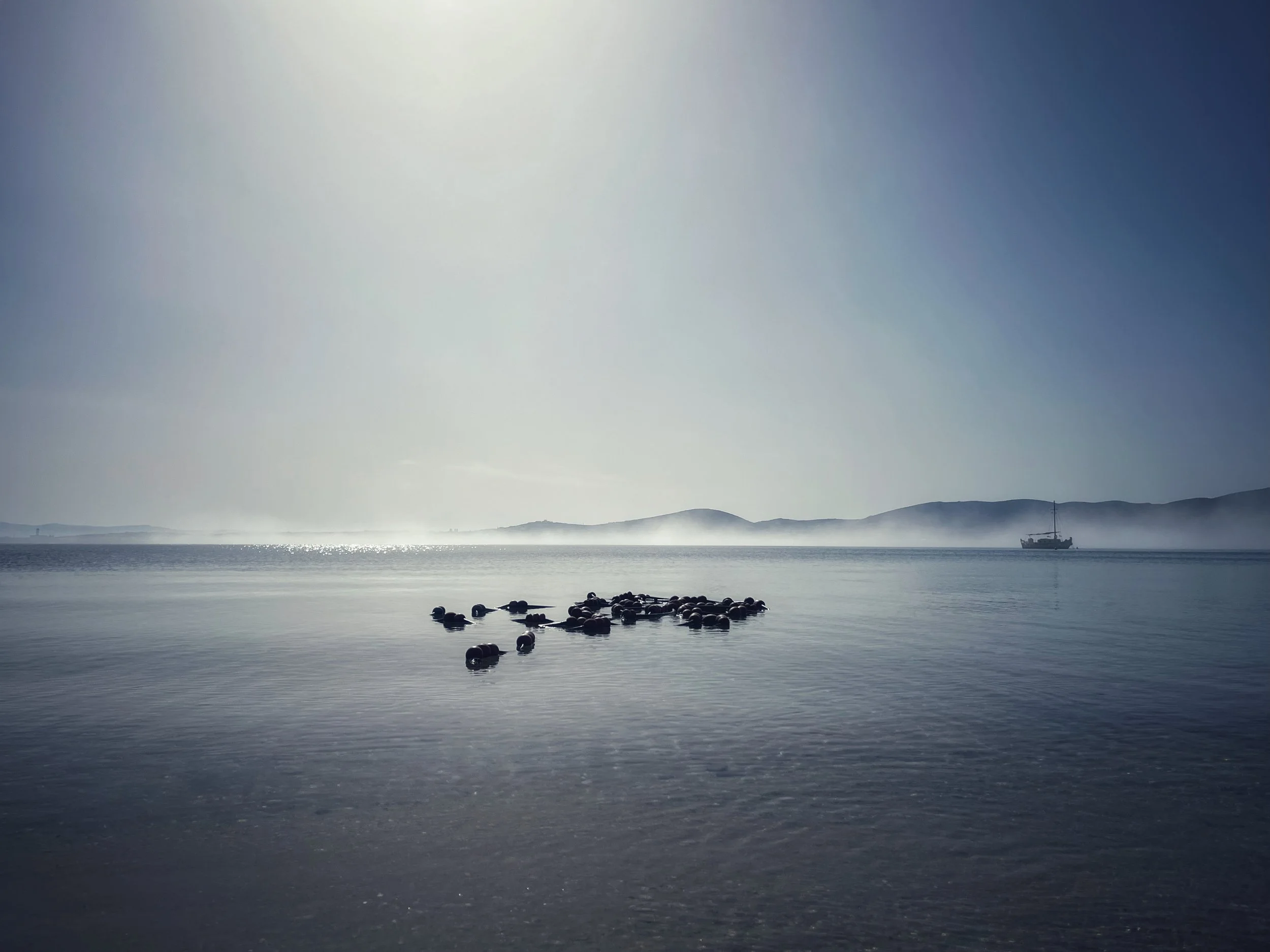 © 2024 Petti Fotografia-The sea-Landscape photography