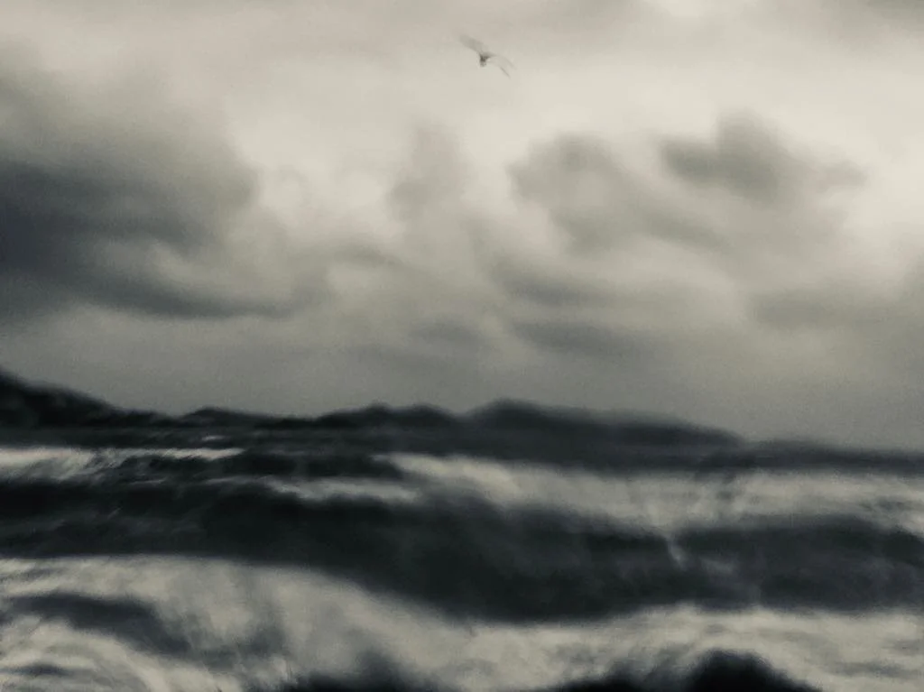 © 2024 Petti Fotografia-Morning glory-Art photography