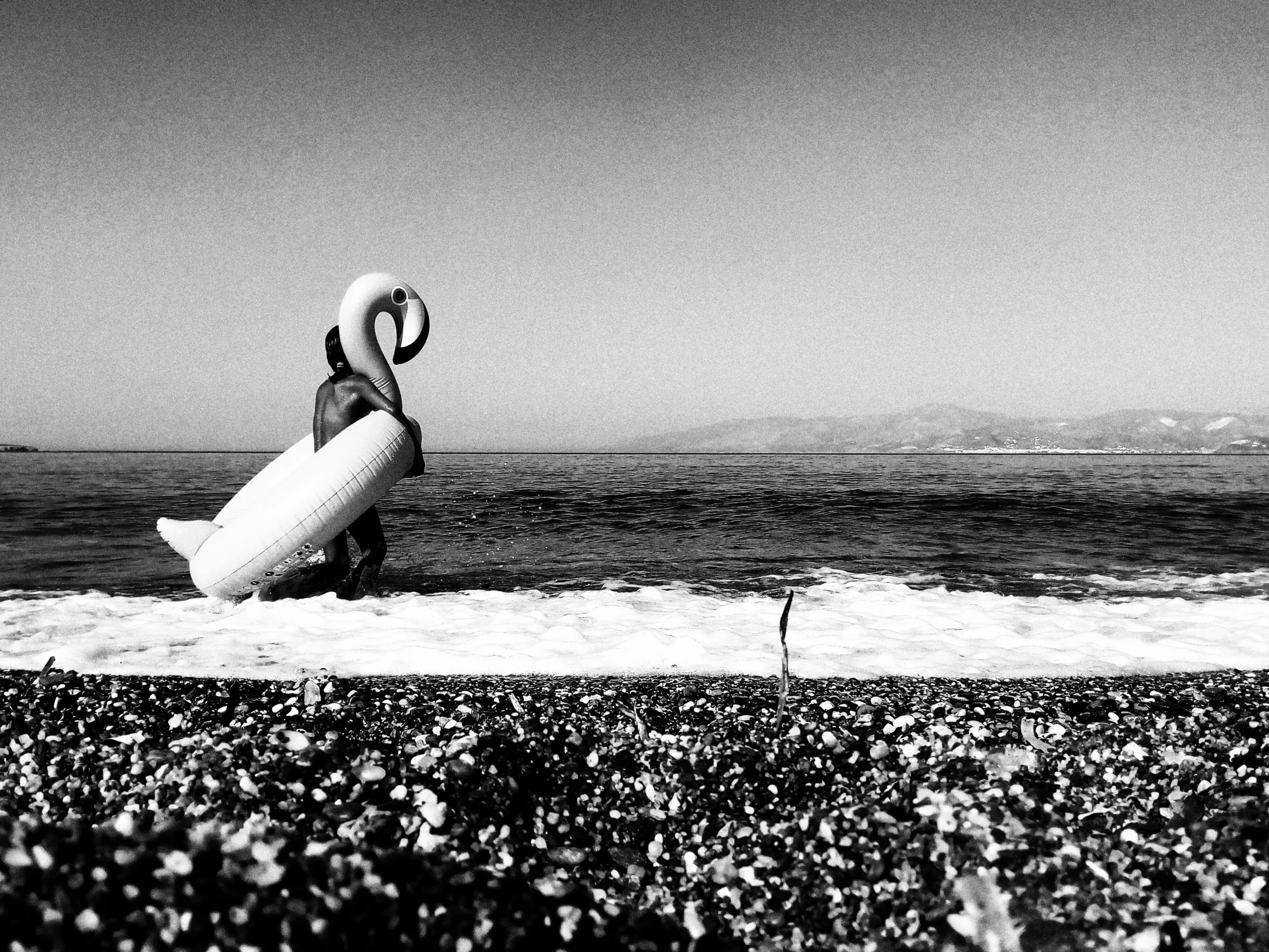 © 2024 Petti Fotografia-Art photography