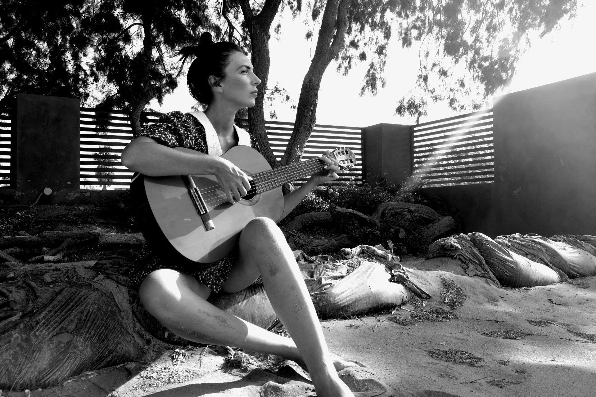 © 2024 Petti Fotografia