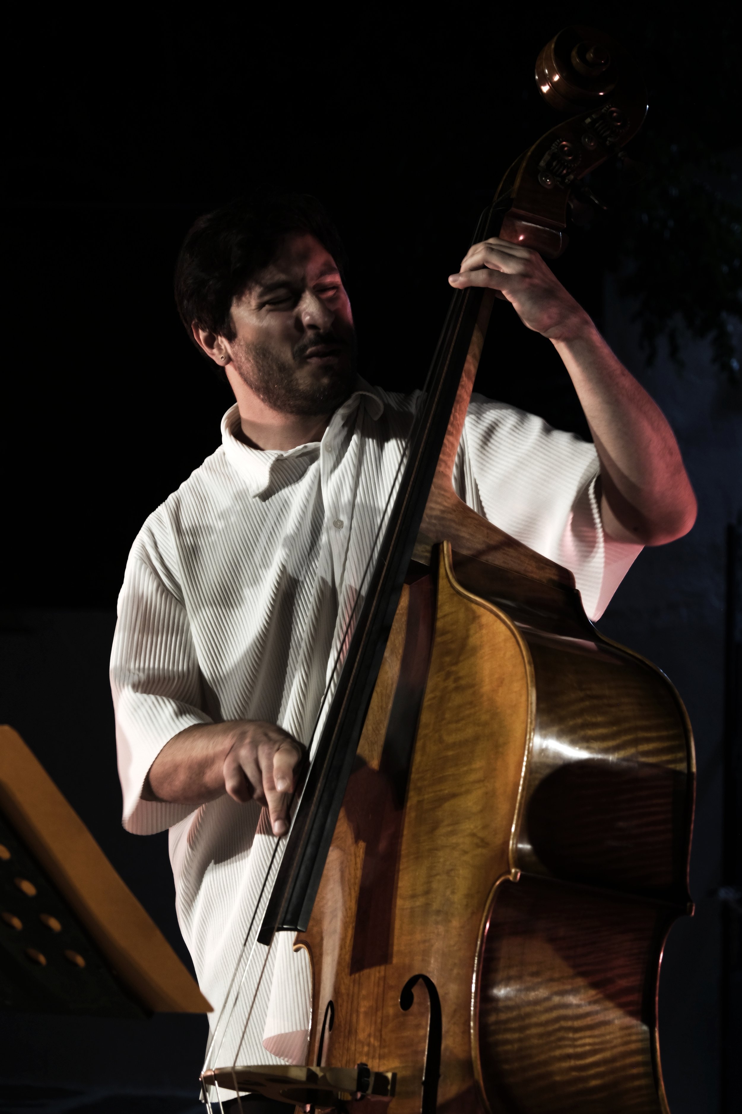 © Petti Fotografia-Franco Ambrosetti Jazz Awards-Gregory Theodoridis