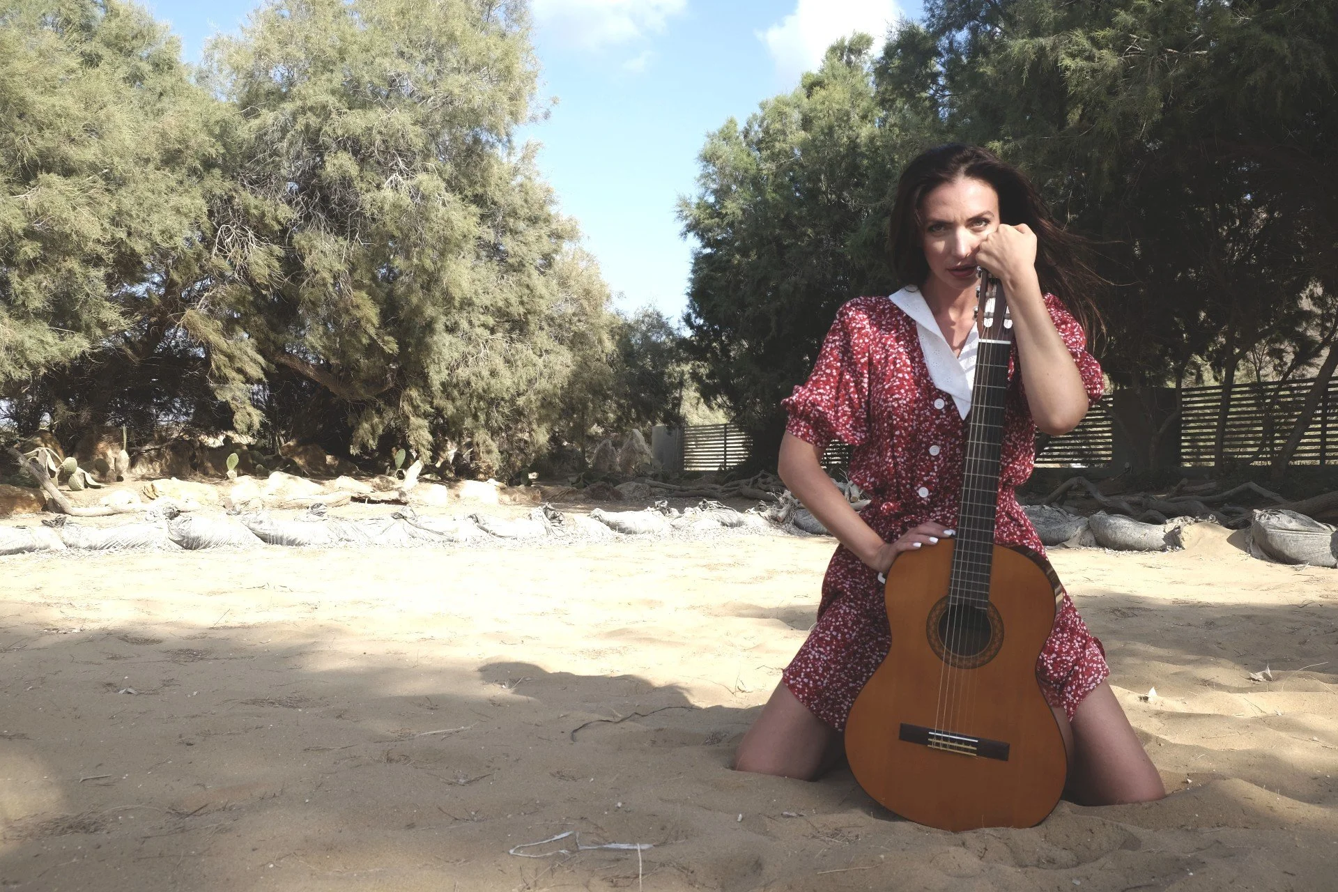 © 2024 Petti Fotografia