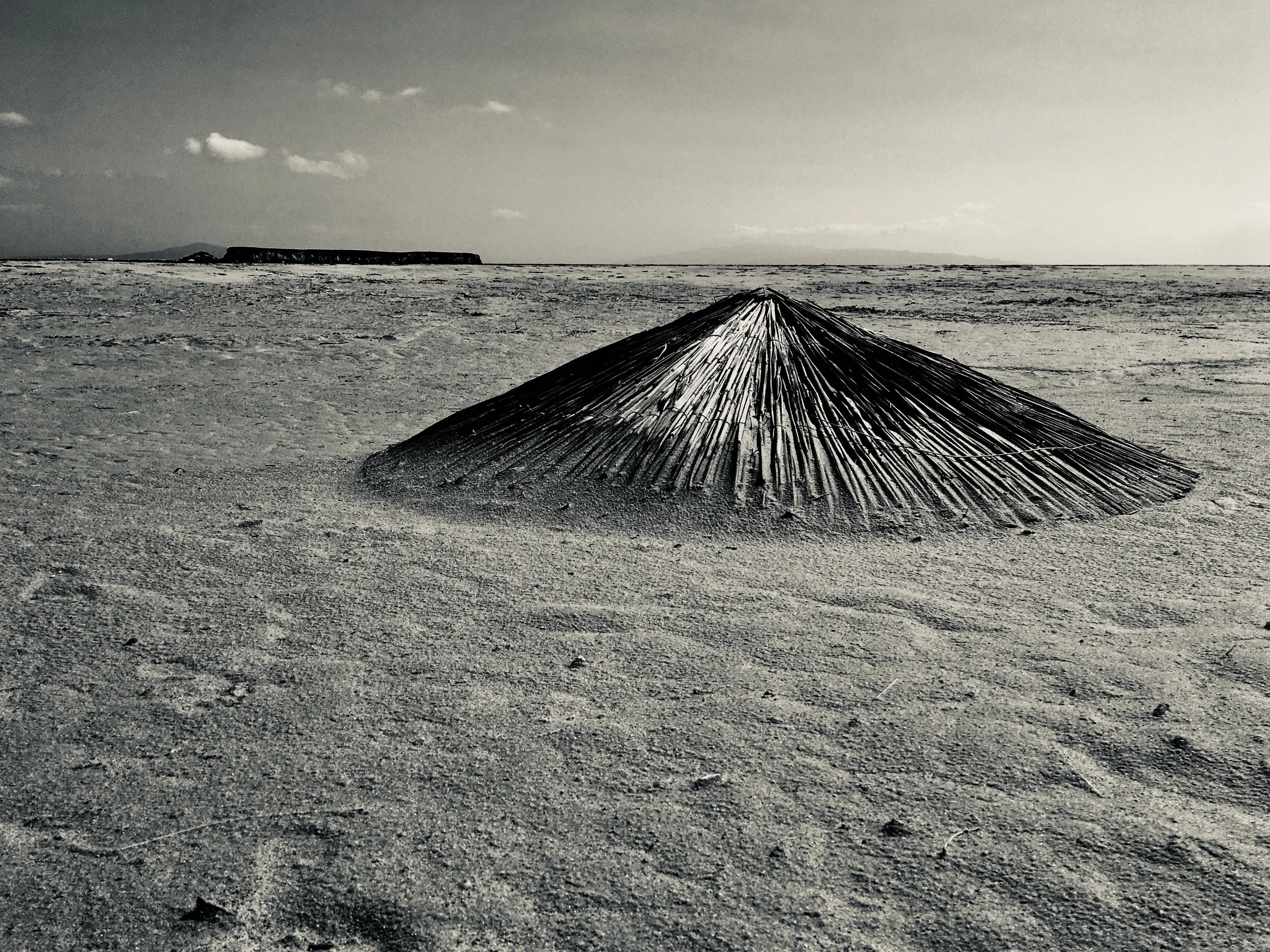 © 2024 Petti Fotografia-The hat-art photography