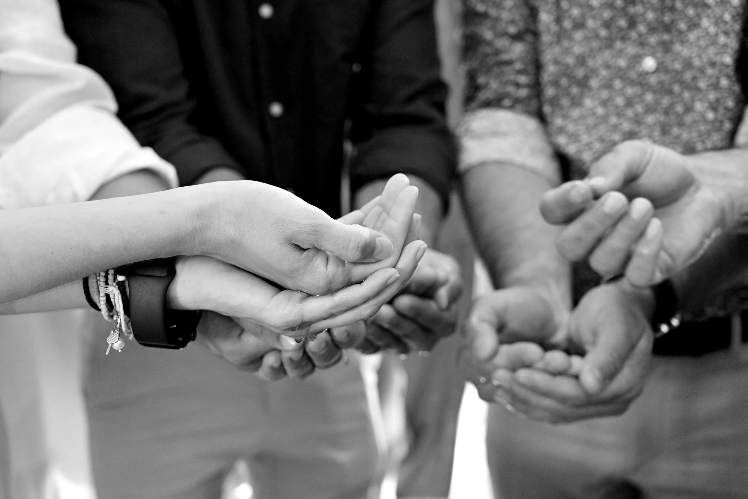 © 2024 Petti Fotografia