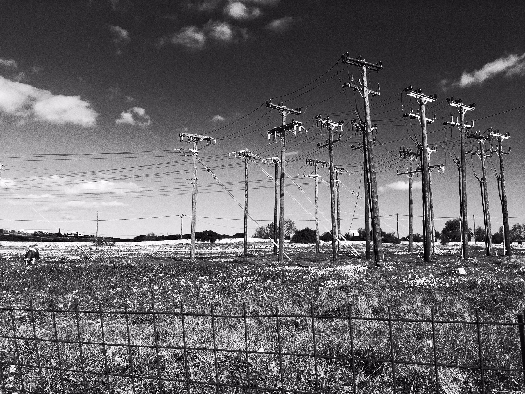 © 2024 Petti Fotografia-art photography