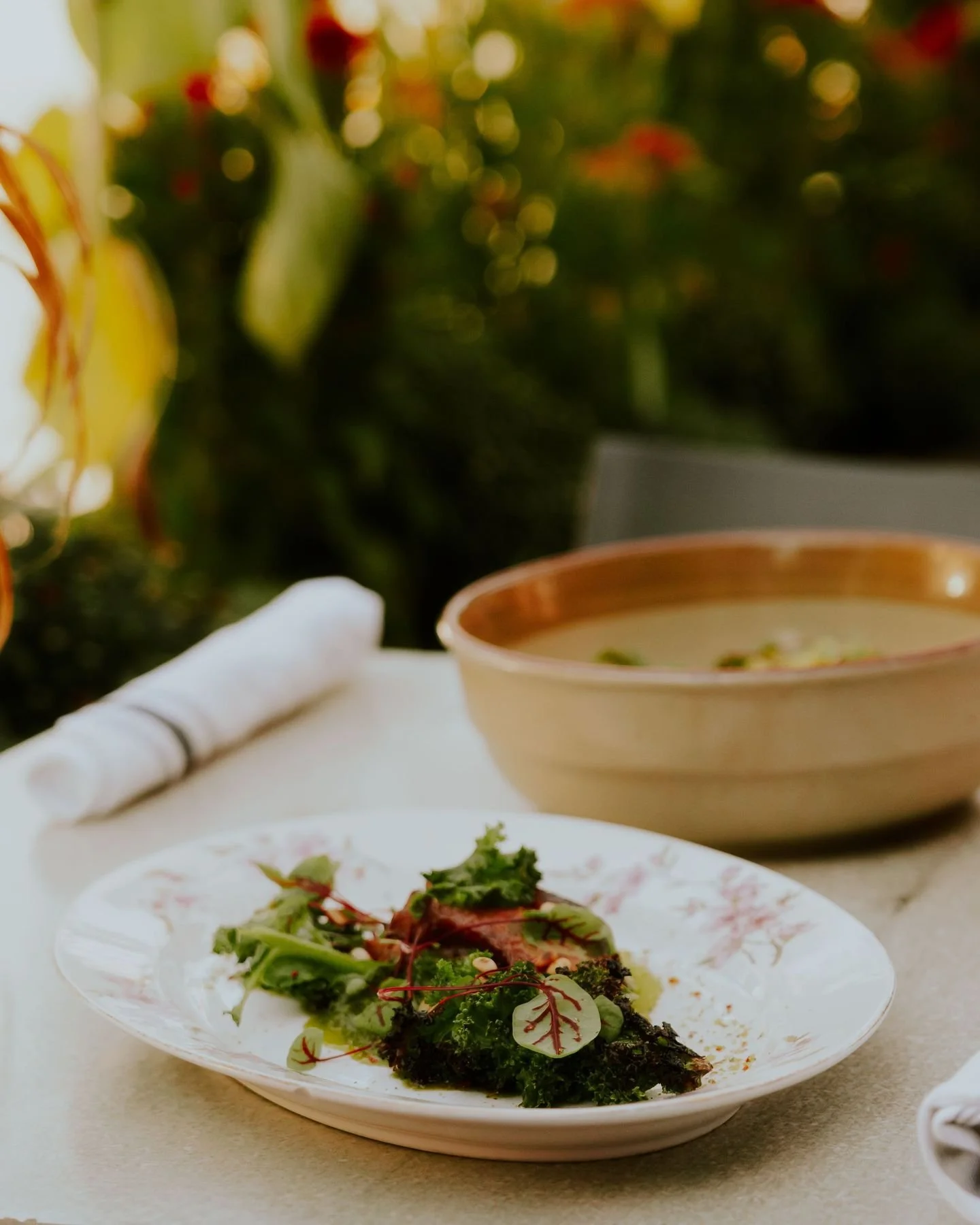 Chez Mont Bistro, la saison dicte souvent le menu ! 👩🏻&zwj;🌾

Nos plats &eacute;ph&eacute;m&egrave;res mettent en valeur les arrivages du moment et les ingr&eacute;dients frais de la r&eacute;gion.

En venant nous visiter dans les prochaines semai