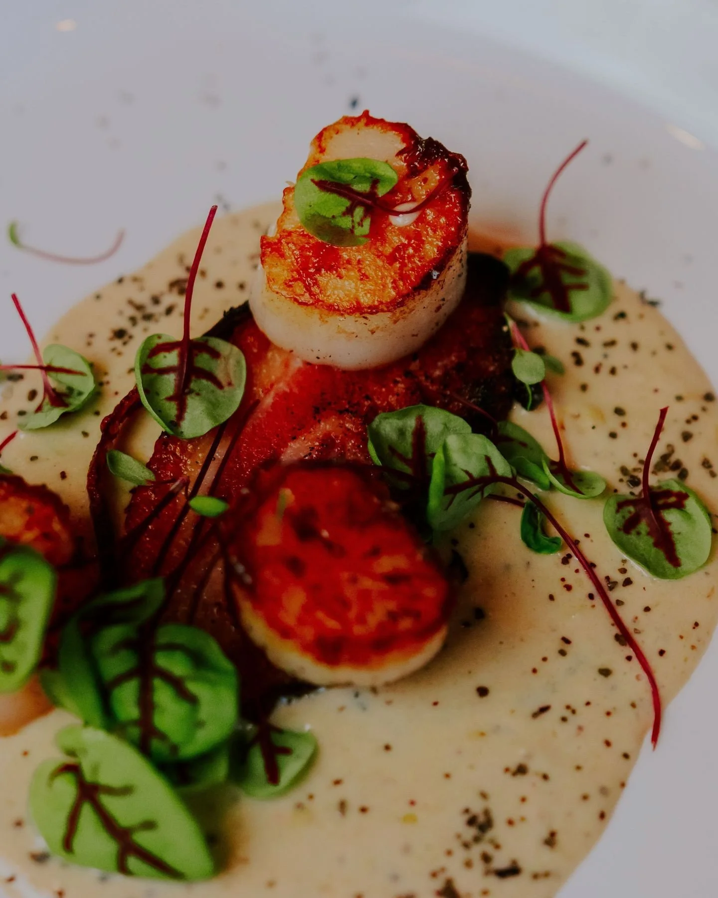 Tenez-vous bien, cette entr&eacute;e pourrait bien vous faire tomber de votre chaise : p&eacute;toncles po&ecirc;l&eacute;s &amp; bajoue de porcelet fum&eacute;e, sur une sauce cr&eacute;meuse au ma&iuml;s... 🤤

Un mariage de textures et de saveurs 