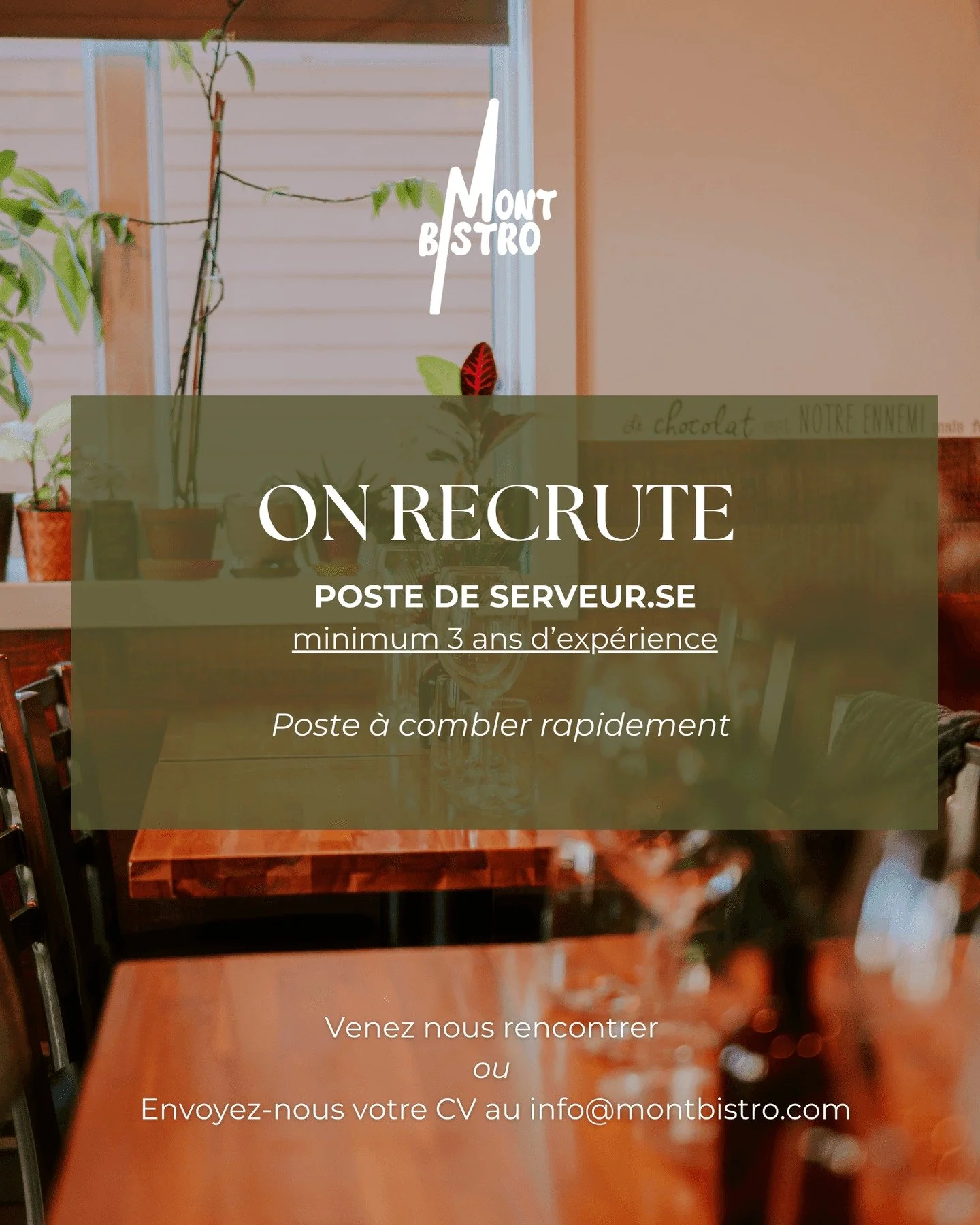 On commence l&rsquo;ann&eacute;e 2026 en force : on a besoin de toi !

🔔Notre &eacute;quipe est la recherche d&rsquo;un(e) serveur (se), temps plein.
On recherche une personne avec un minimum de 3 ans d&rsquo;exp&eacute;rience en service, qui a du p