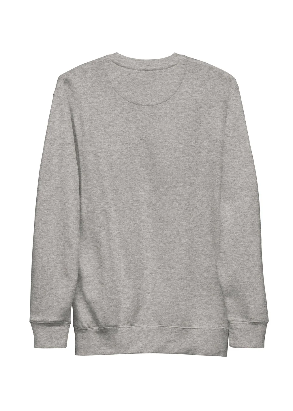 astromaniac grau rück.webp