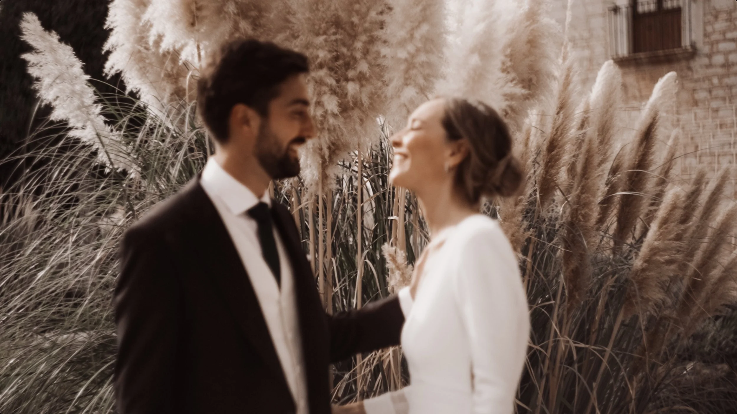 SEMILLA FILMS MALLORCA INSTA-2.jpg