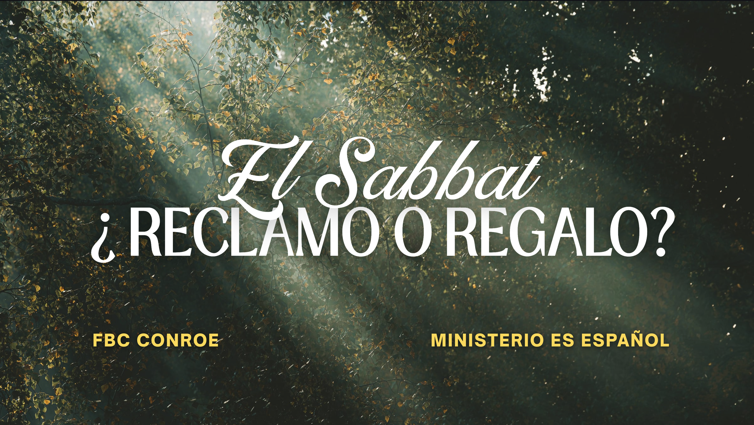 El Sabbat ¿Reclamo o Regalo? - 5