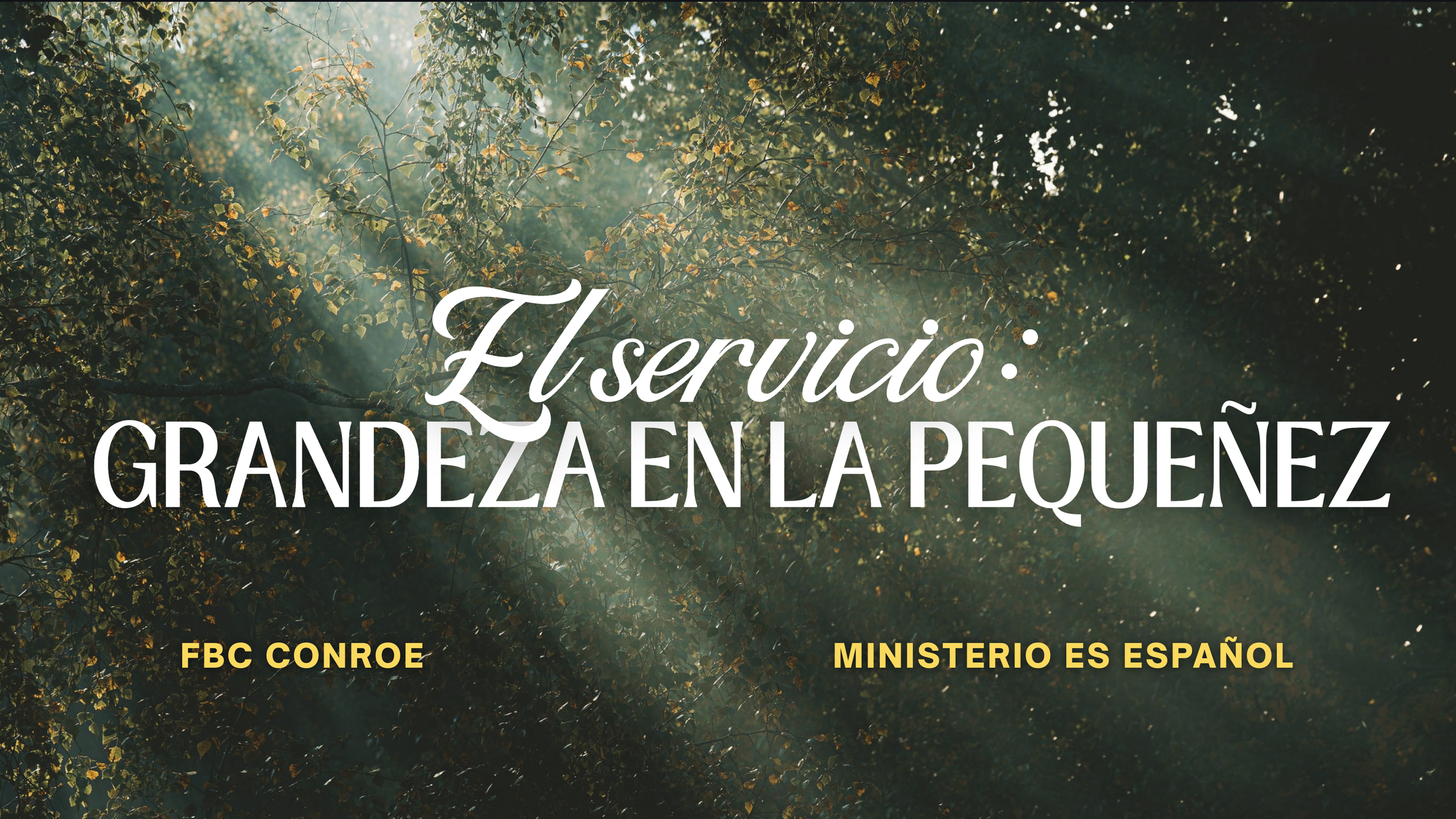 Grandeza en la Pequeñez: El Servicio - 7