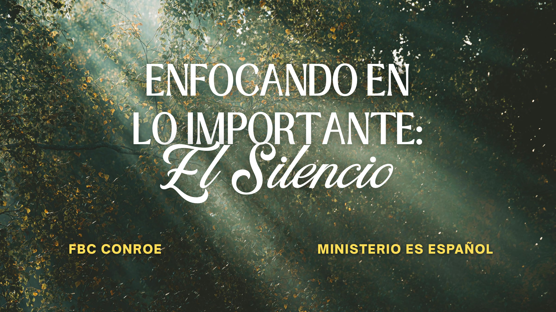 Enfocando en lo Importante: El Silencio - 8