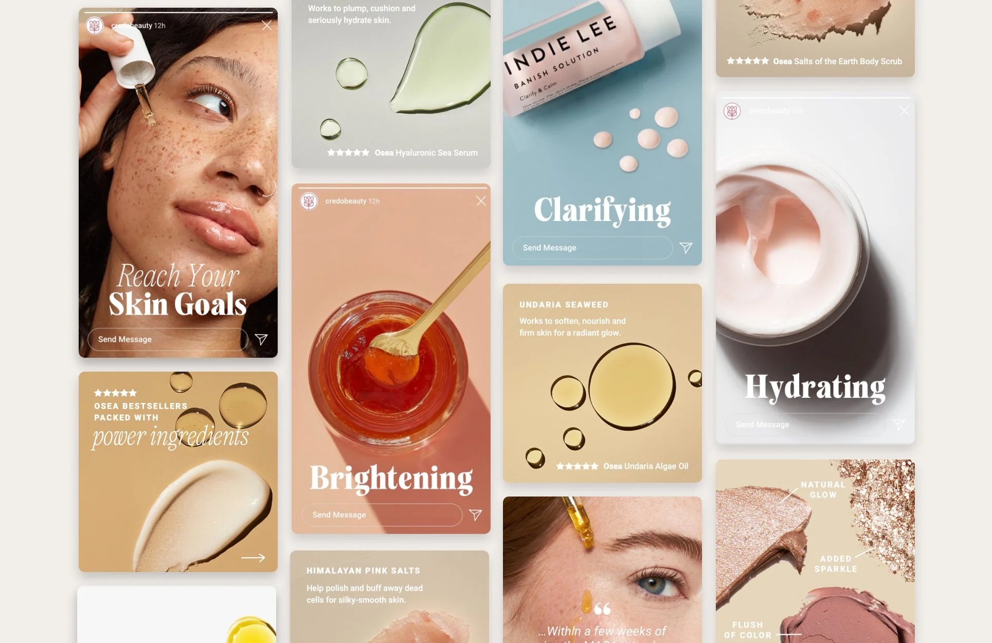 Brand Design:       Credo Beauty