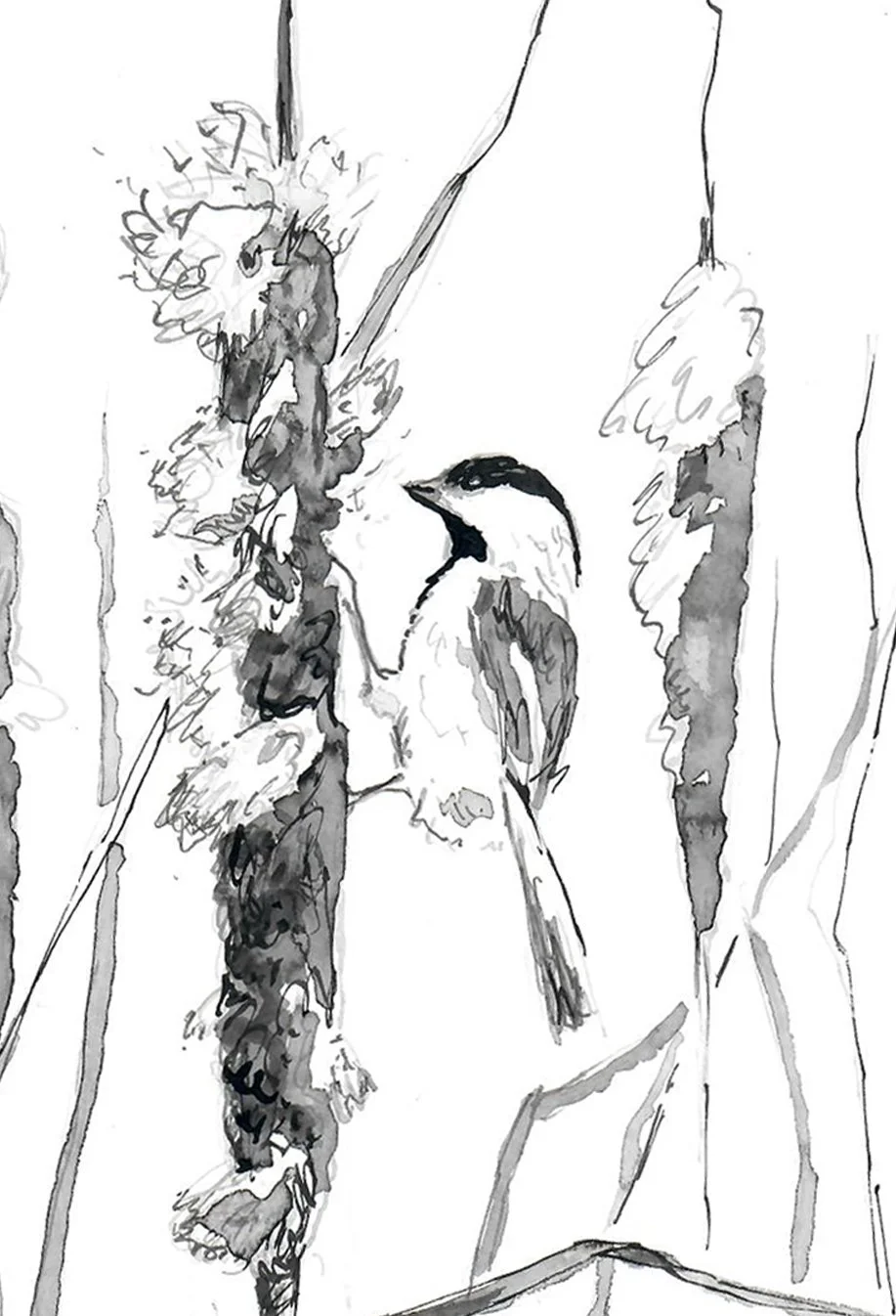 chickadee detail.jpg