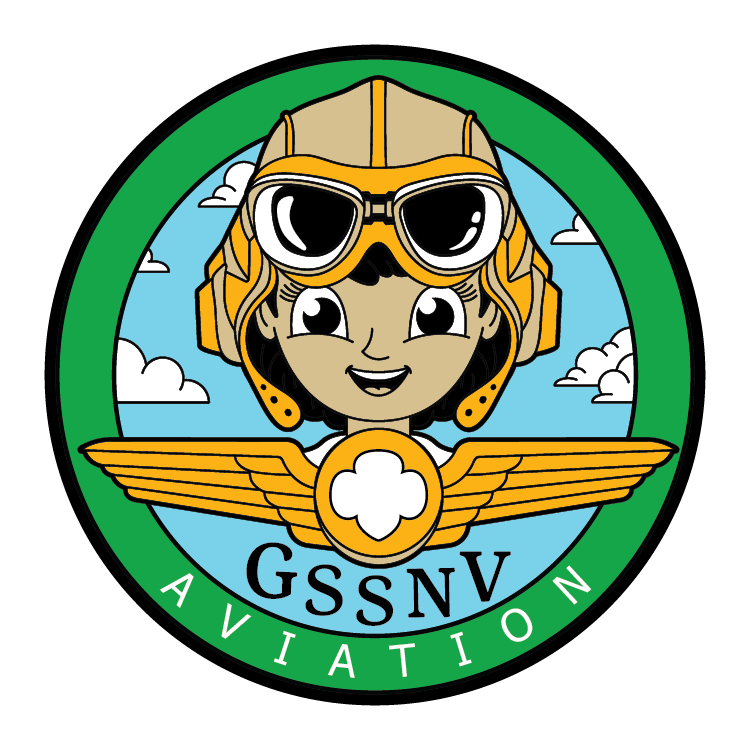 AVIATION BADGE WIP.png