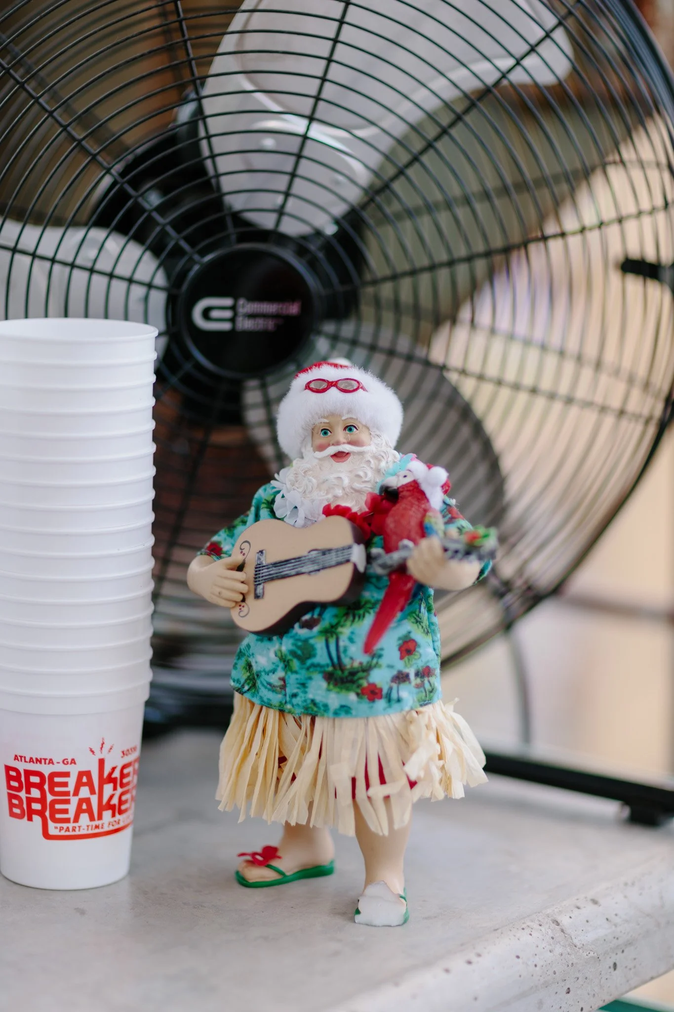 11.20.24_Festiveman_SG-6.jpg