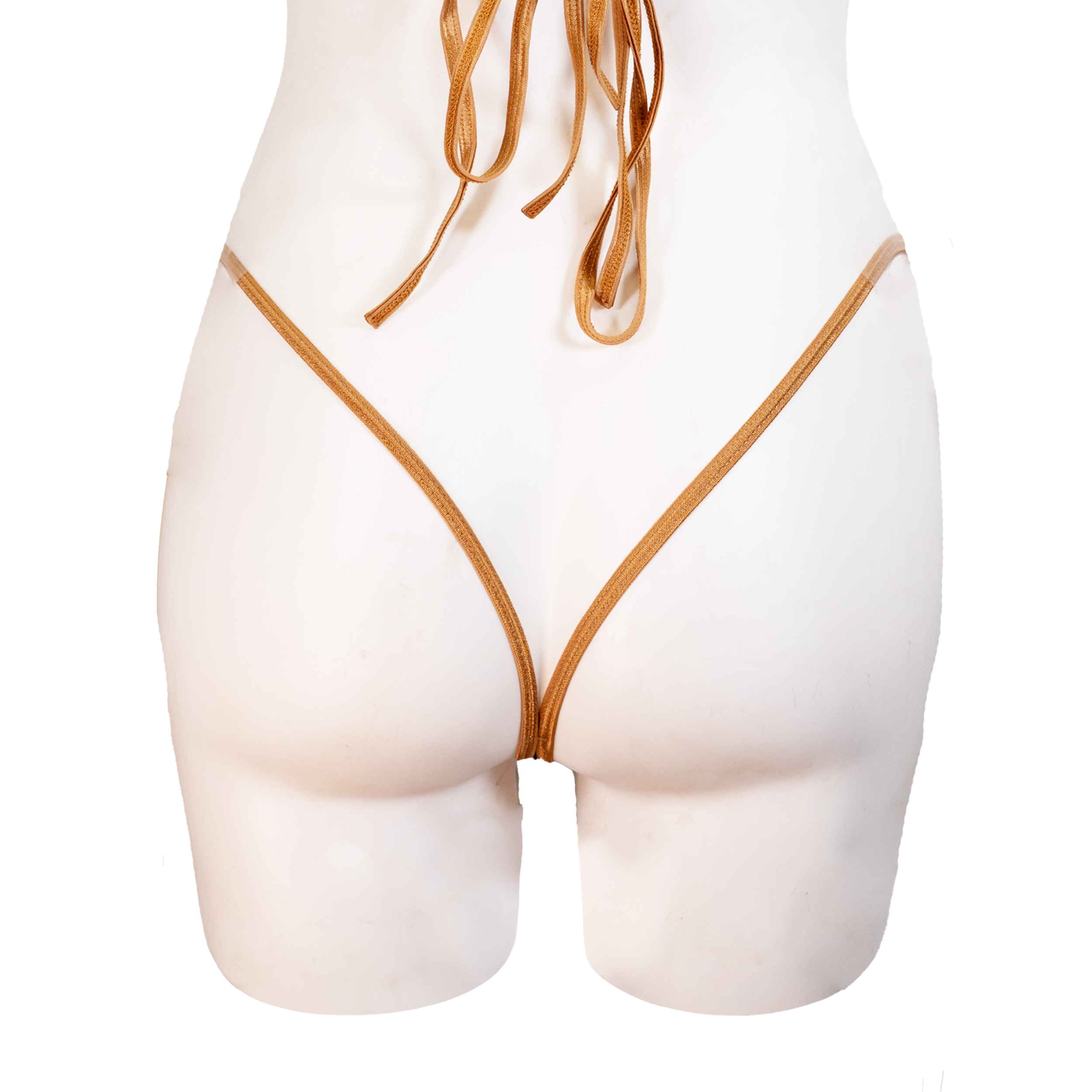 REAL TREE BROWN BOTTOM BACK.png