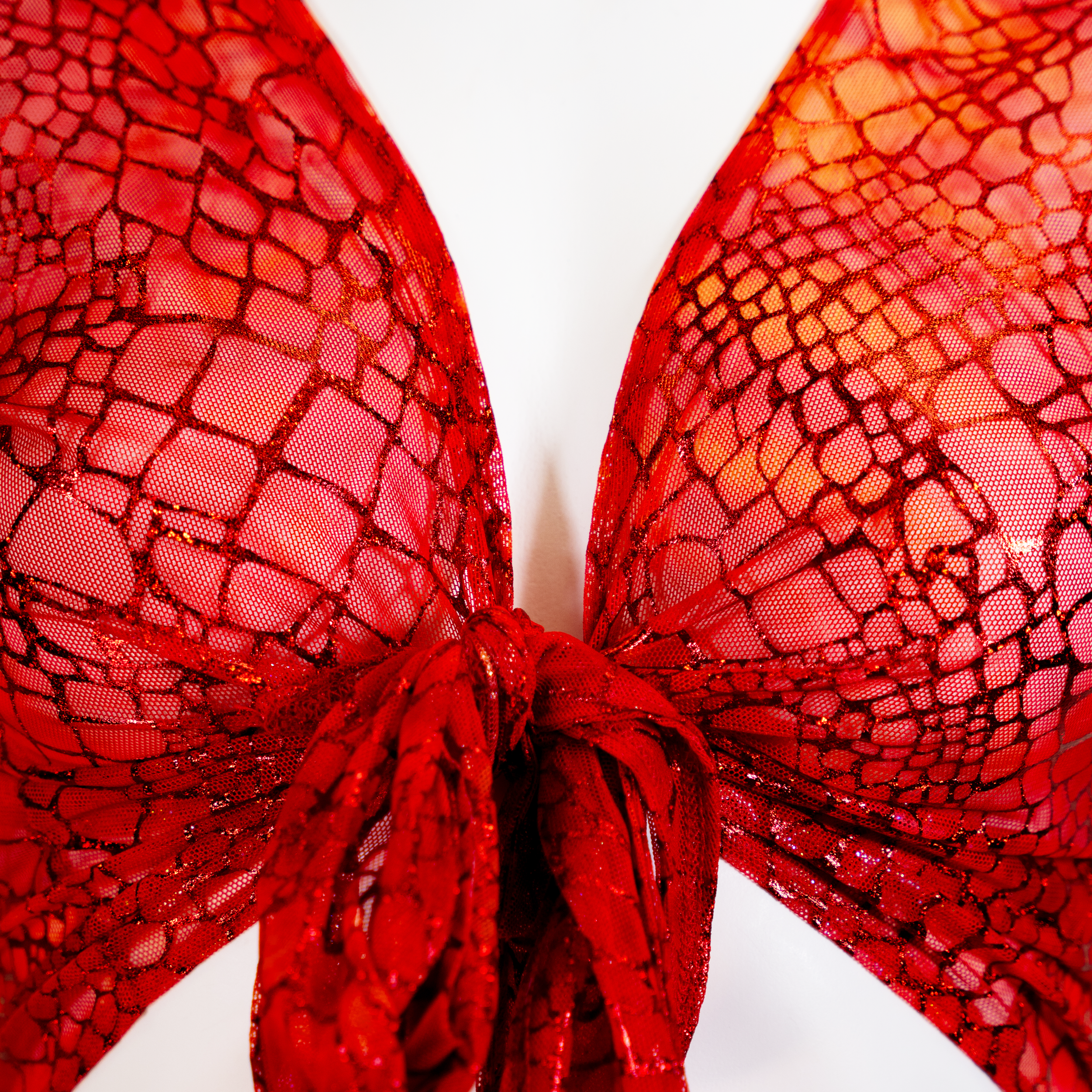 RED SNAKE TIE TOP CLOSE UP.png