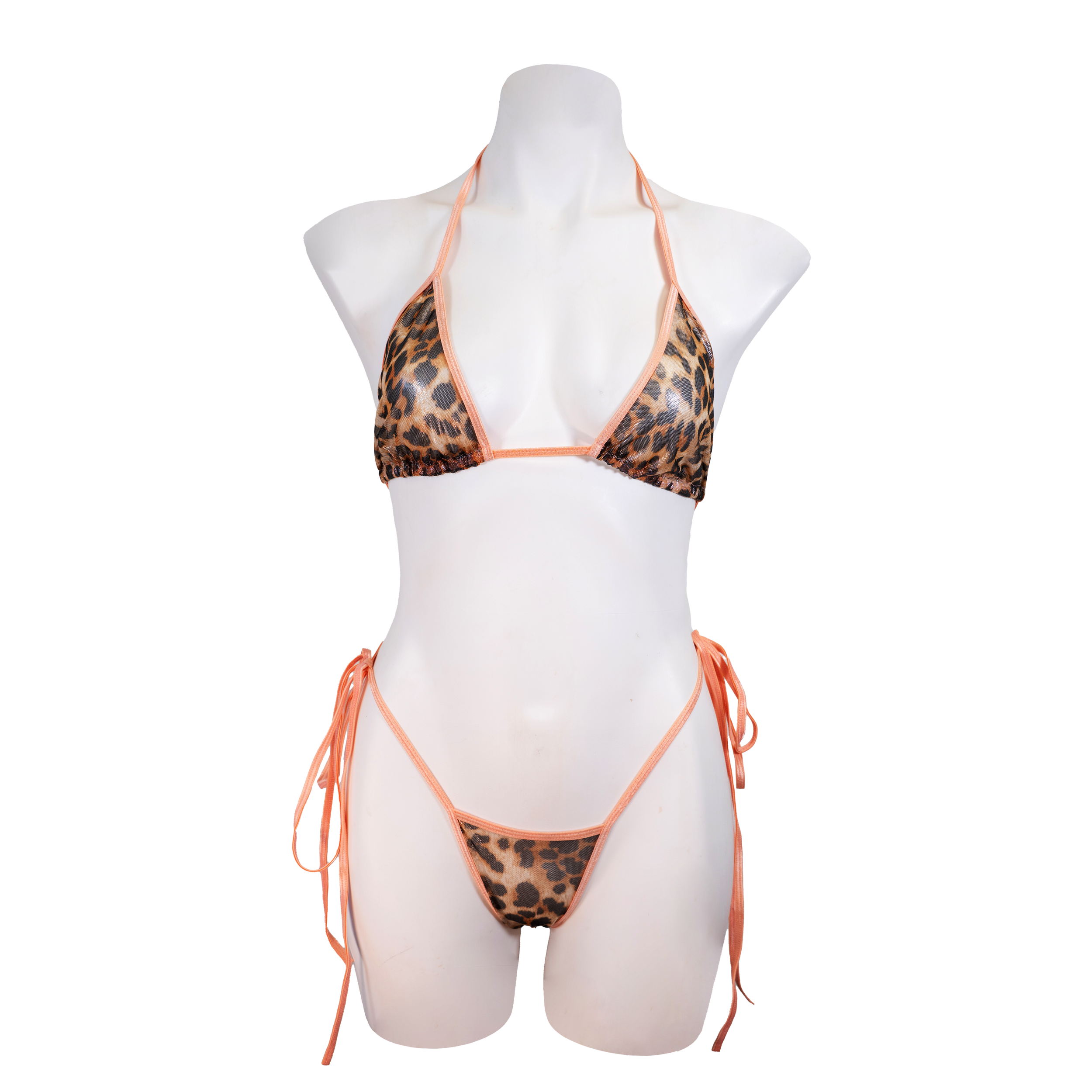 CHEETAH FRONT FULL.png