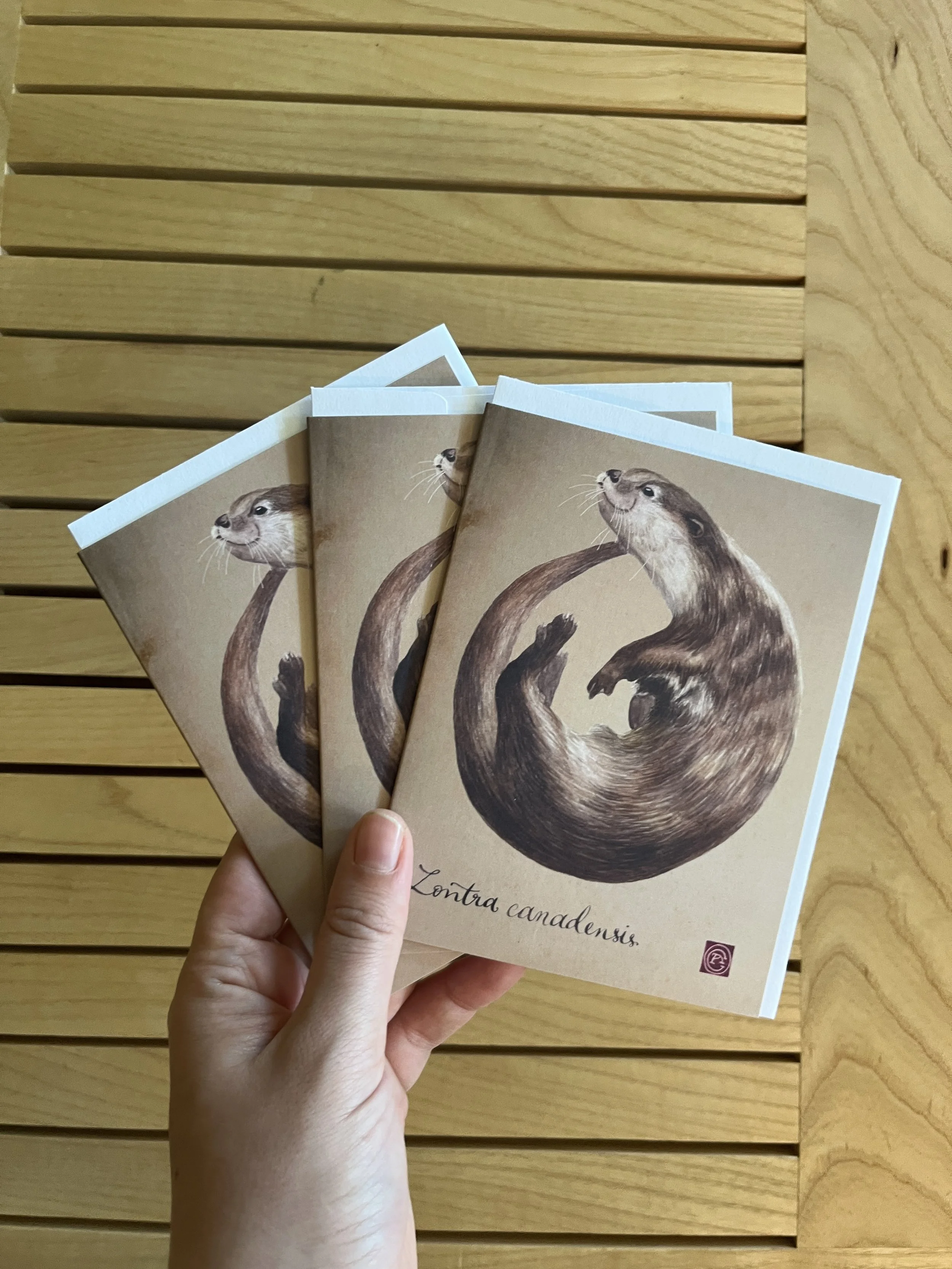loutre 3 cartes.JPG