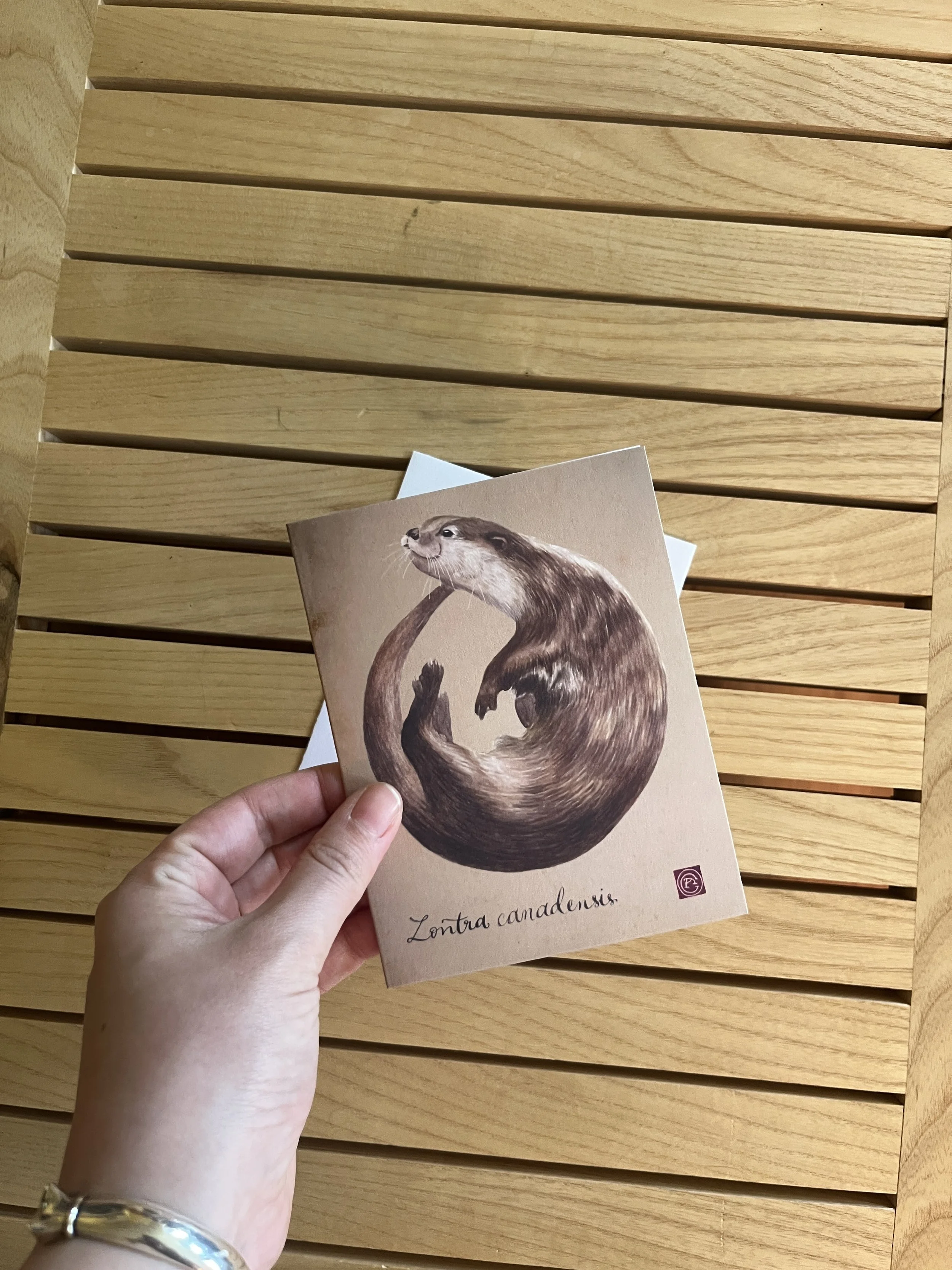 loutre carte 2.JPG