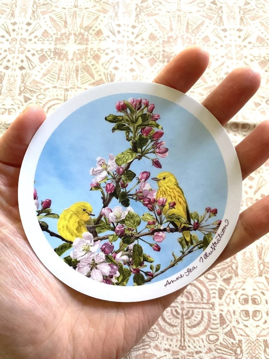 yellow warbler sticker .JPG