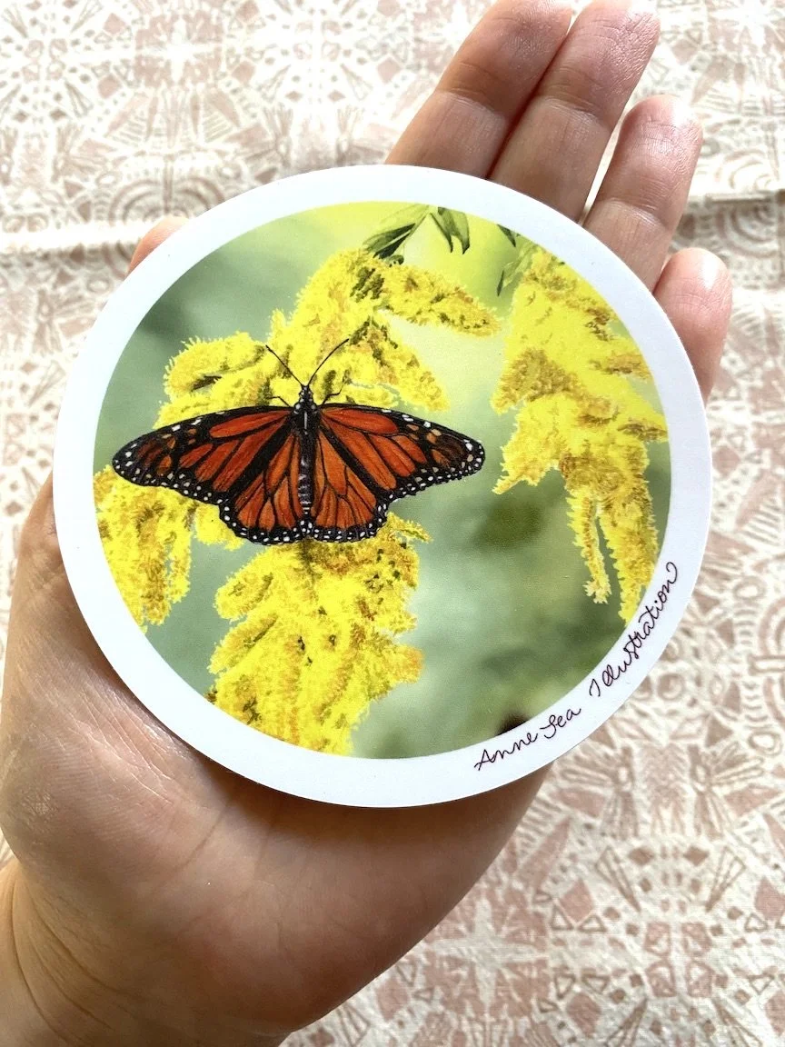 monarch round sticker .JPG