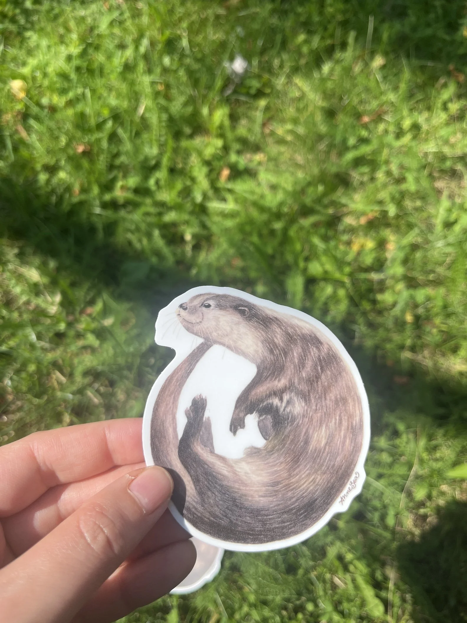 otter sticker4.JPG