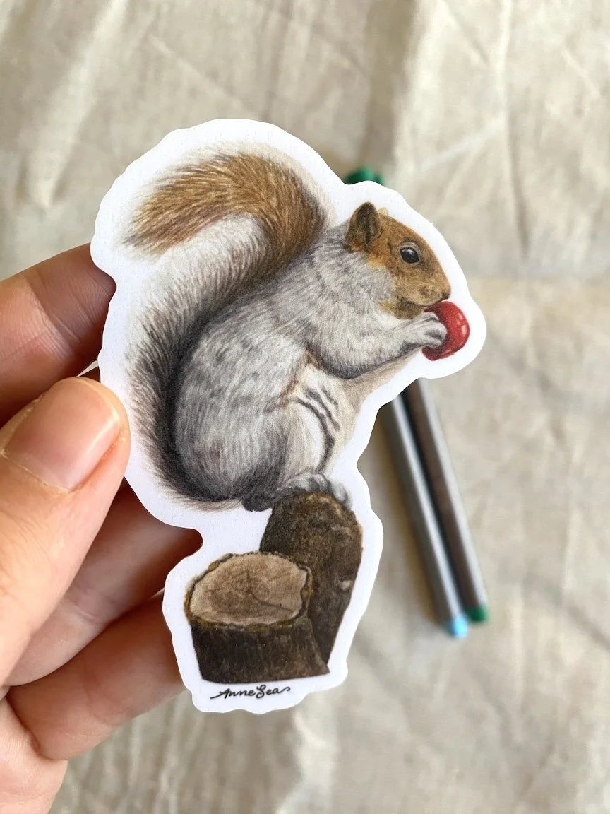 eating squirrel sticker3.JPG