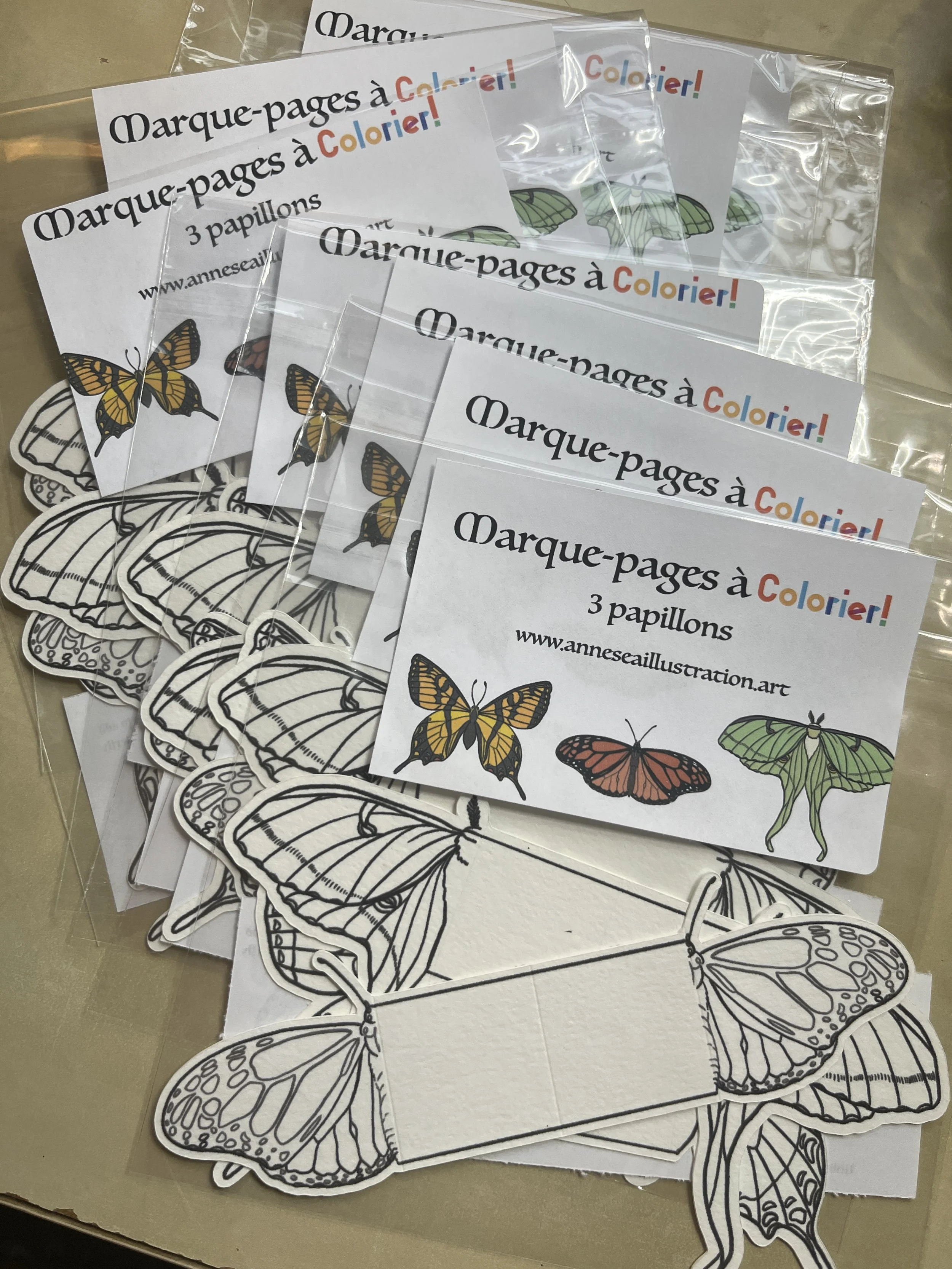 papillon a colorier.JPG