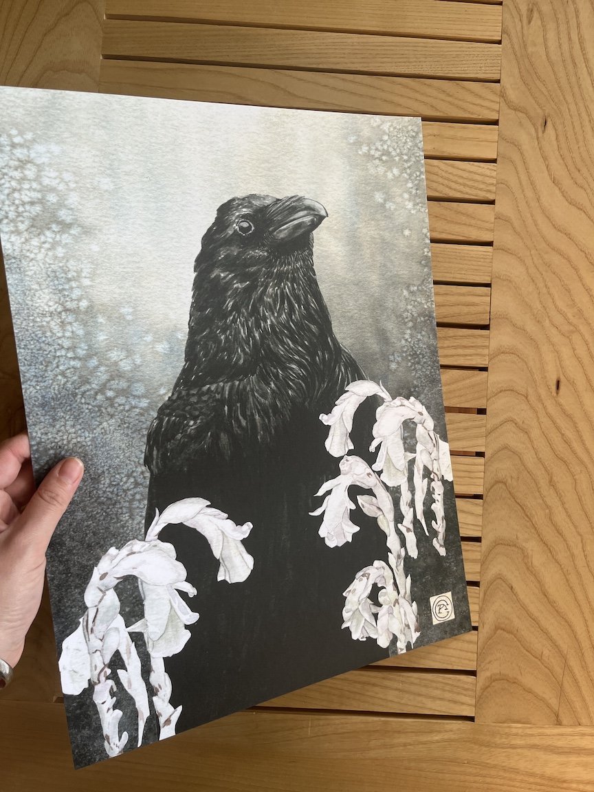 raven print.JPG