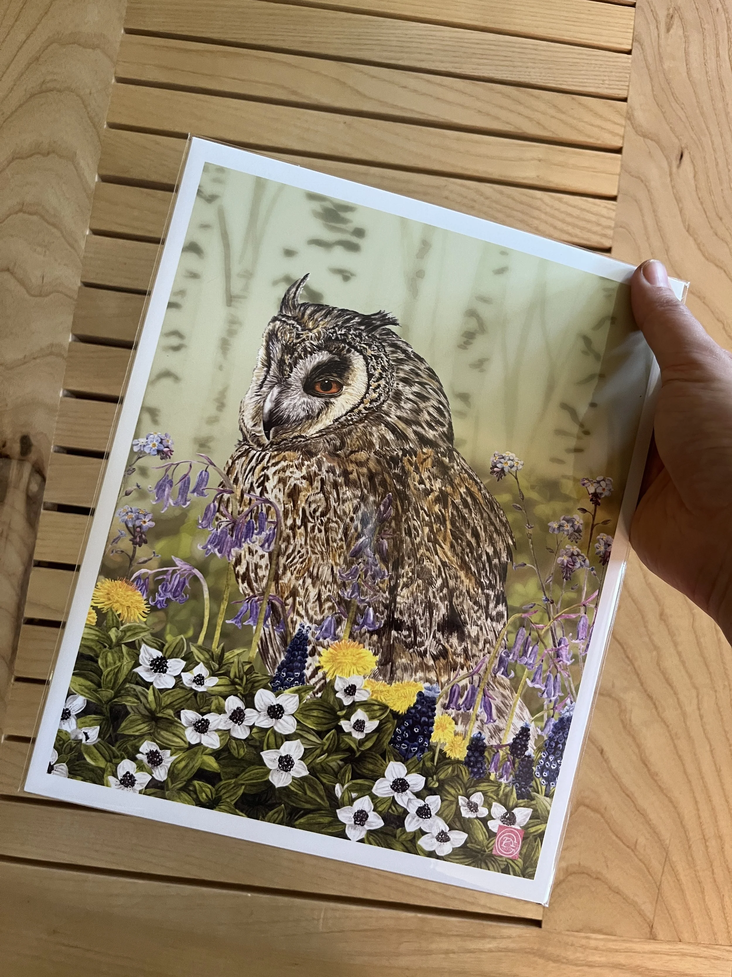 owl print.JPG