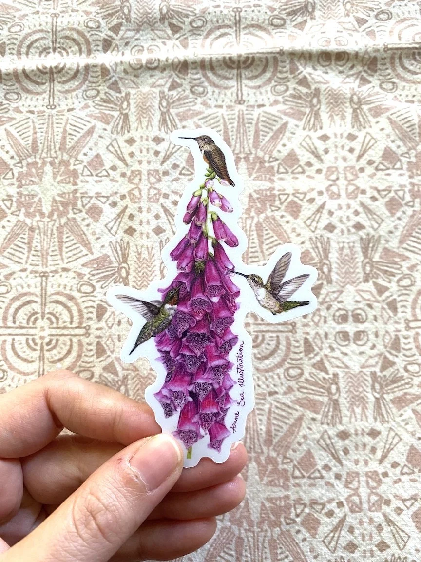 hummingbird sticker 4.JPG