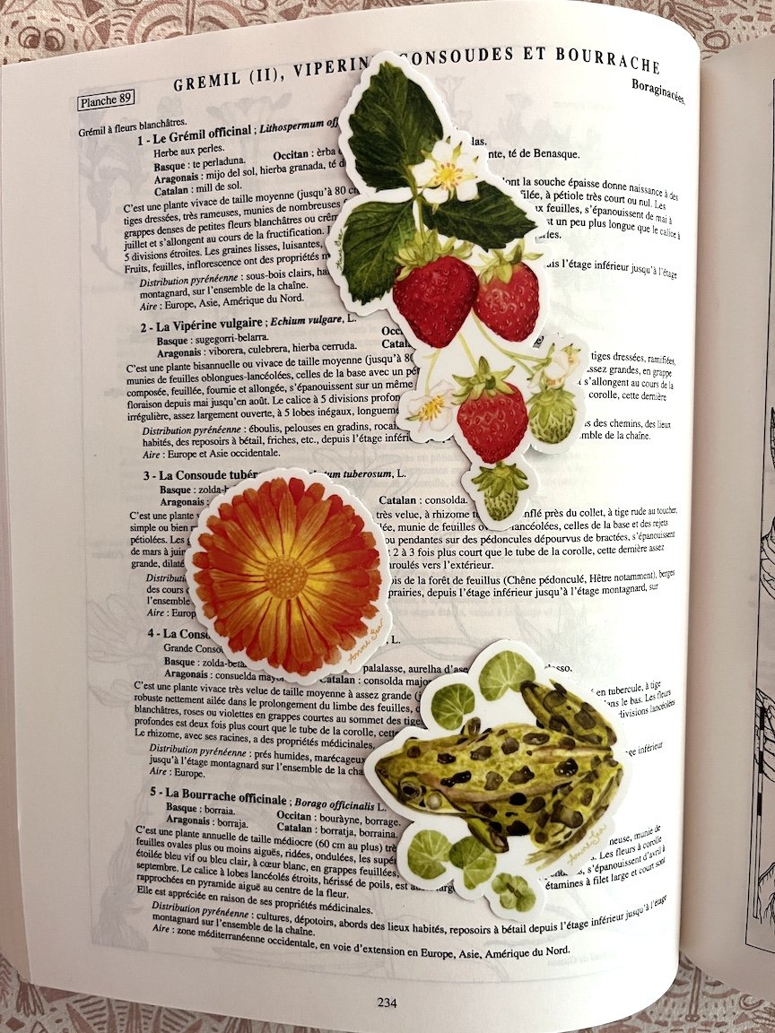 calendula strawberry frog bookmark set2.JPG