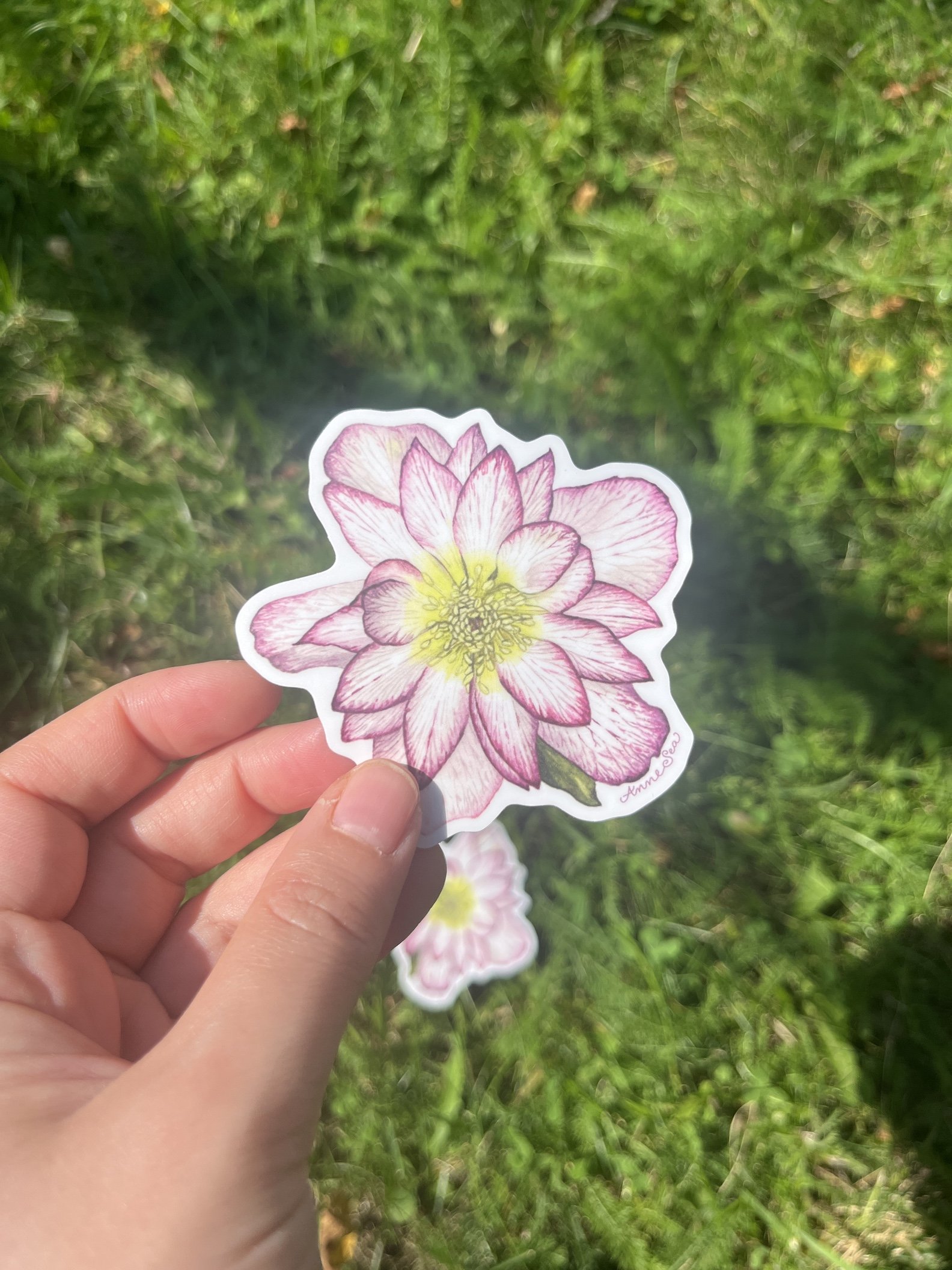 hellebore sticker6.JPG