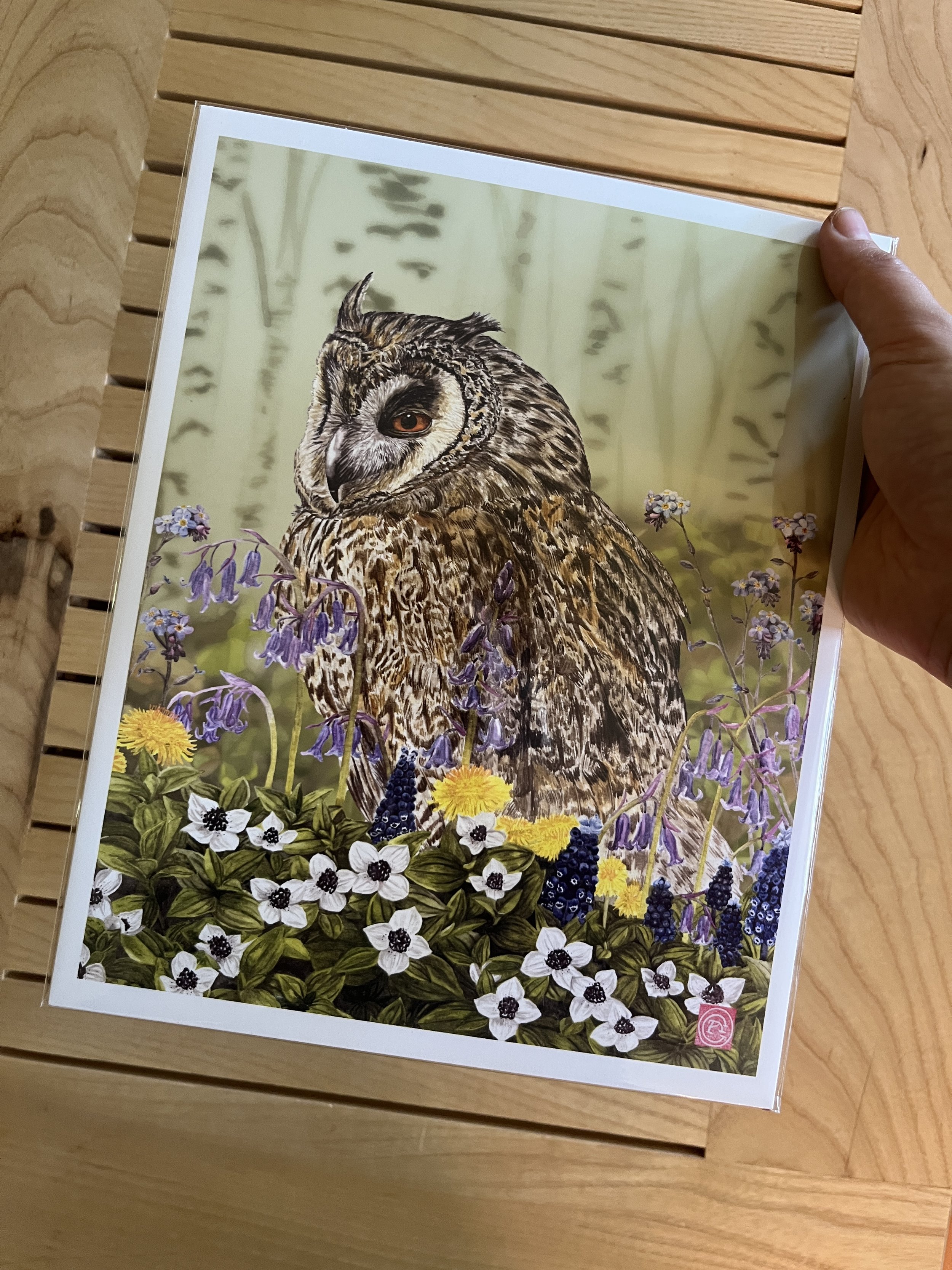 owl print 2.JPG