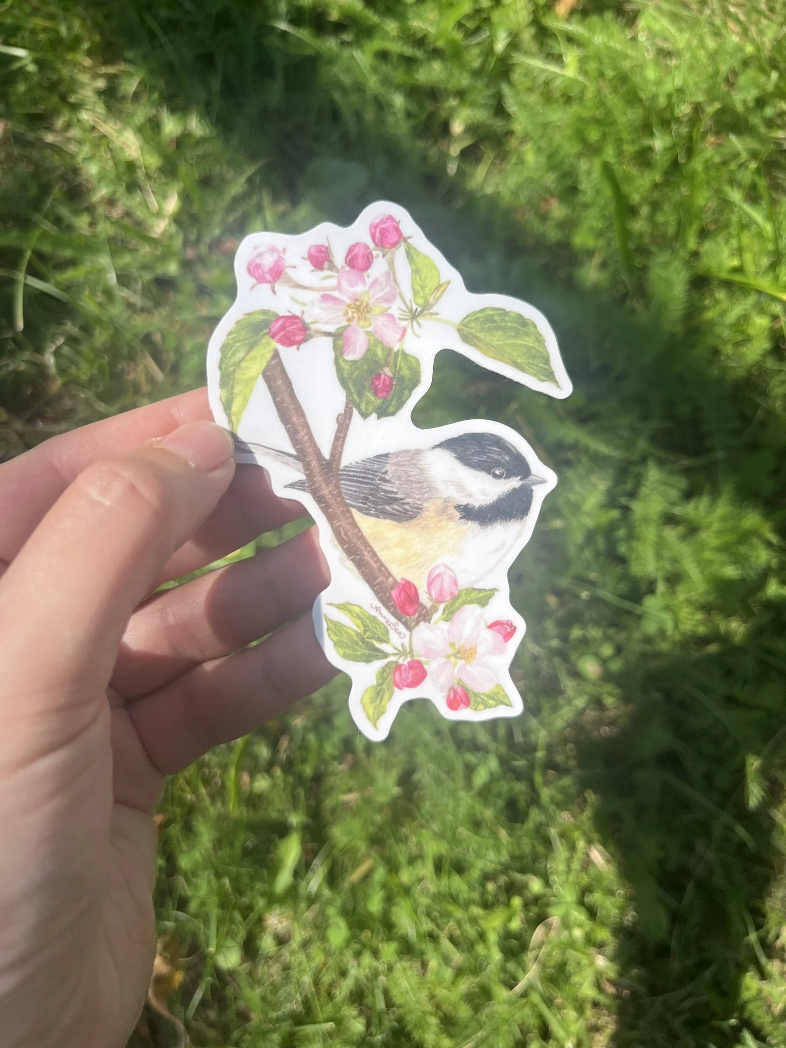 chickadee sticker2.JPG