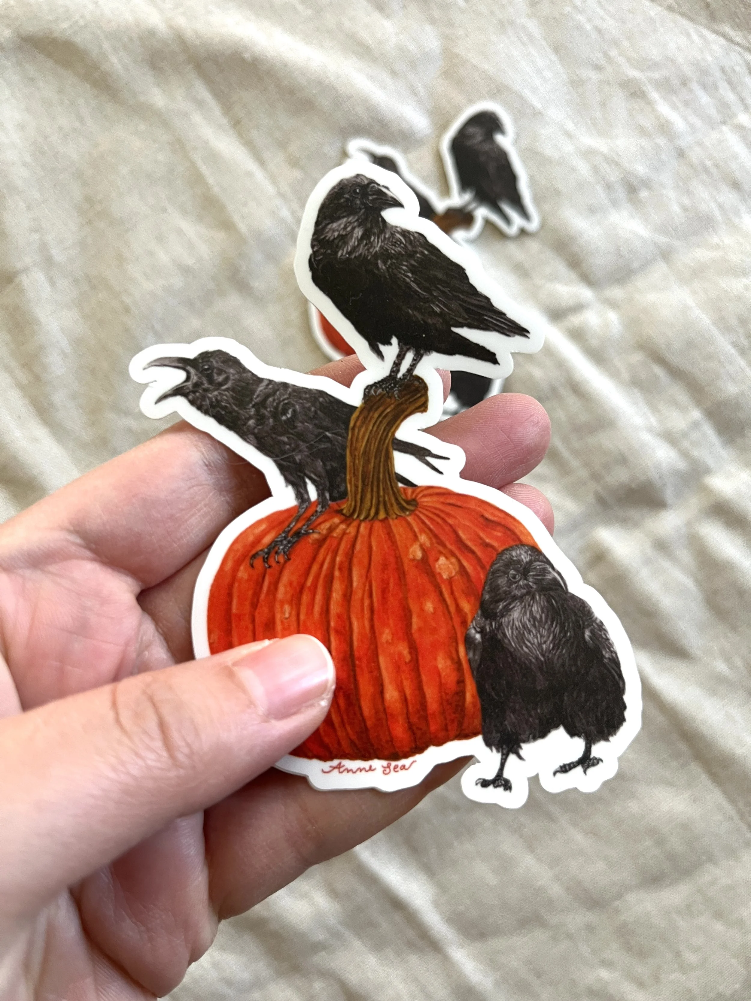 crows on pumpkin9.JPG