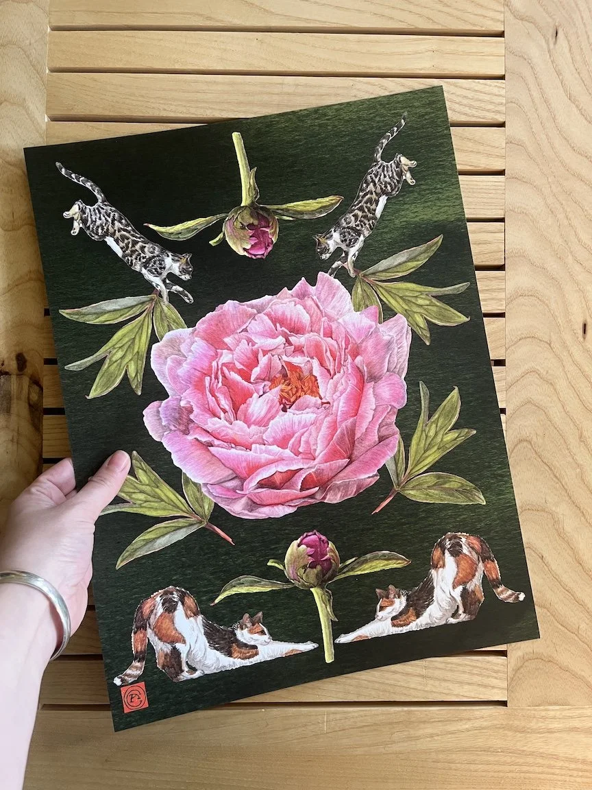 peony large print2.JPG