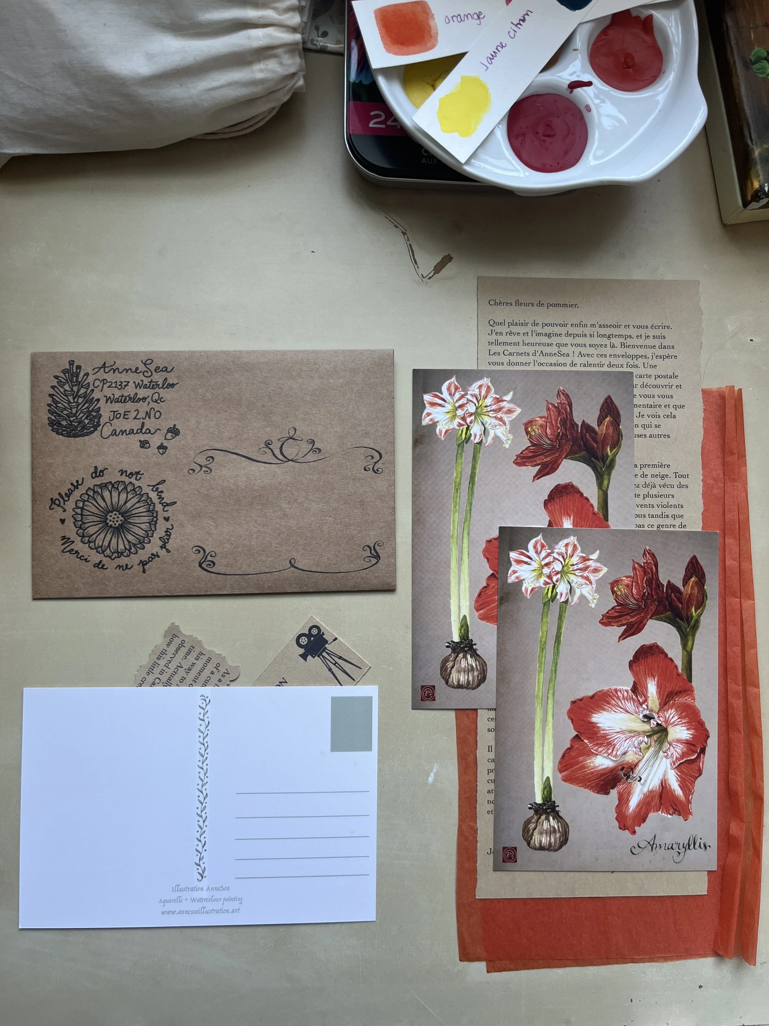 January 2026 - Janvier 2026