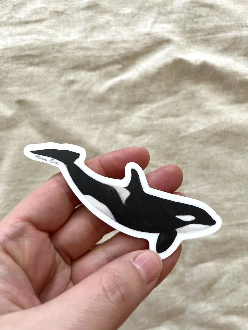 orca sticker2.JPG