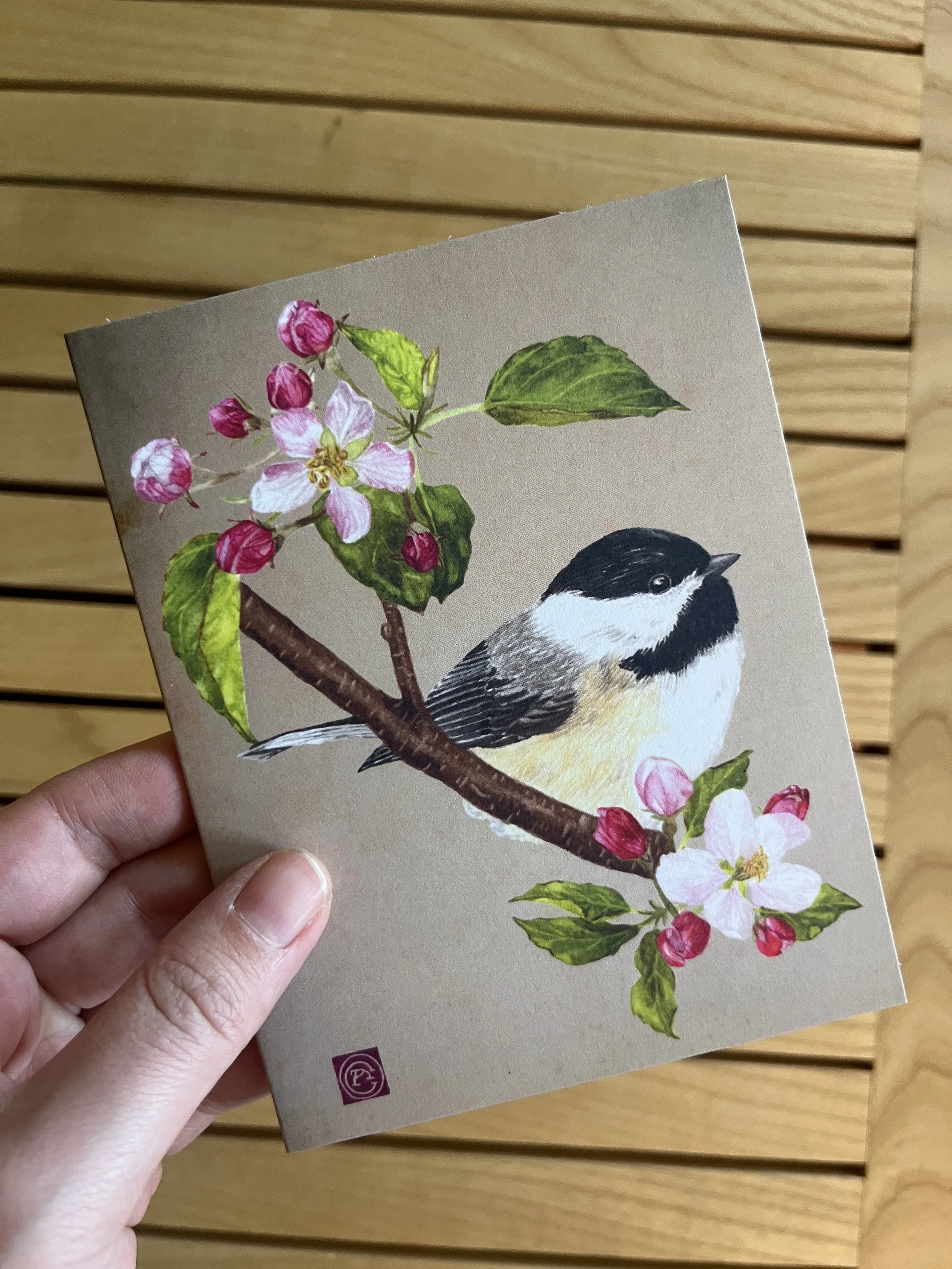 mesange carte 2.JPG
