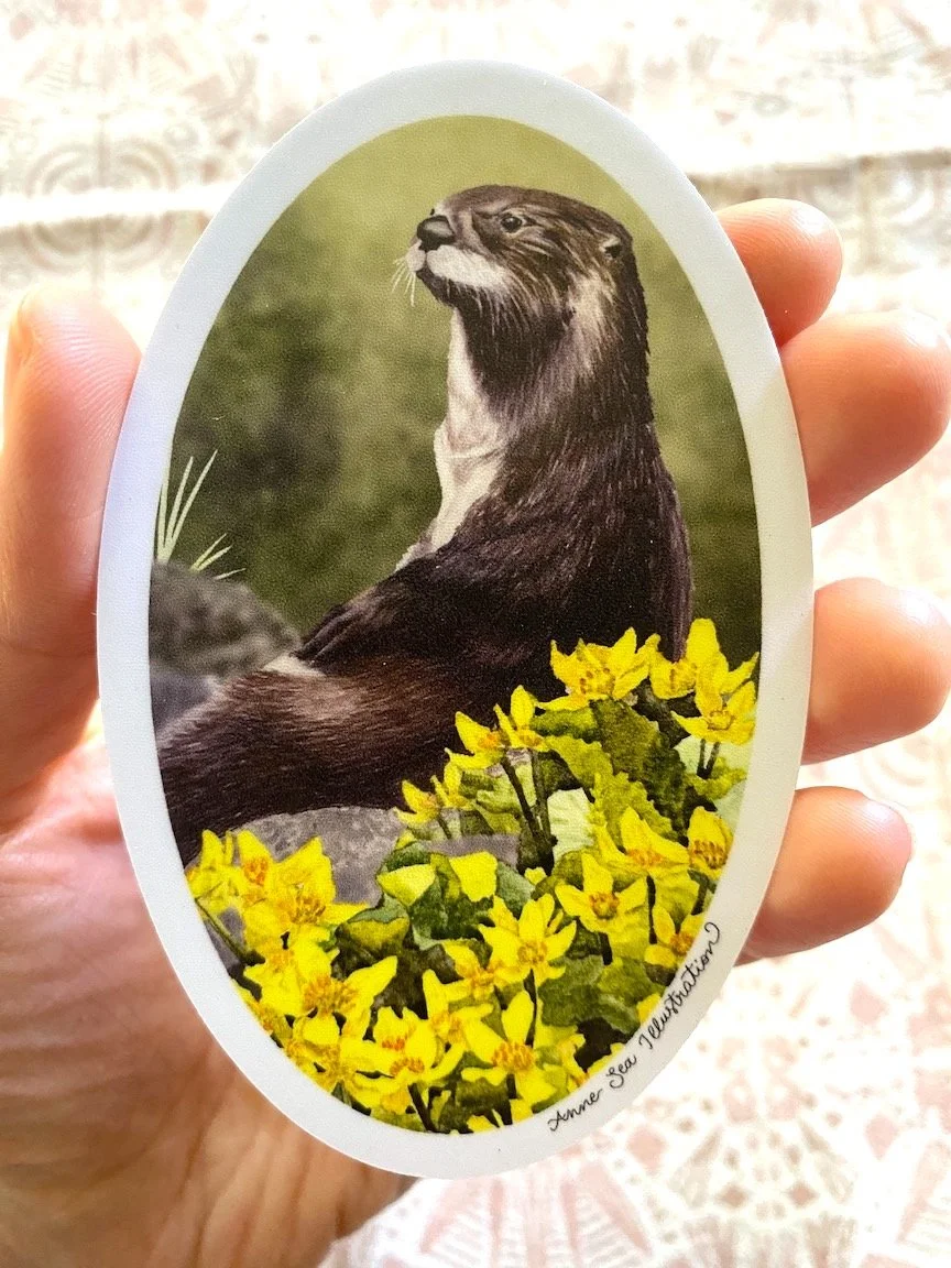 otter sticker2.JPG