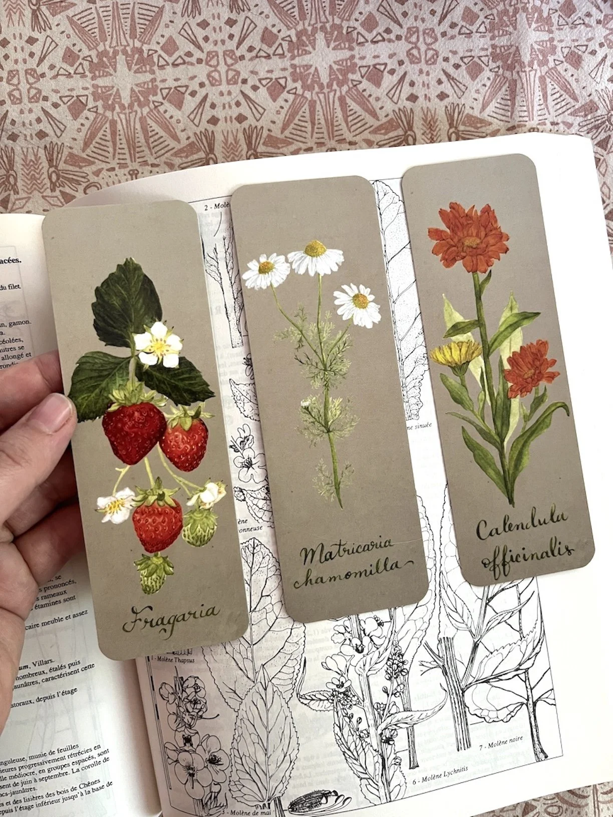 calendula strawberry chamomile bookmark set.JPG