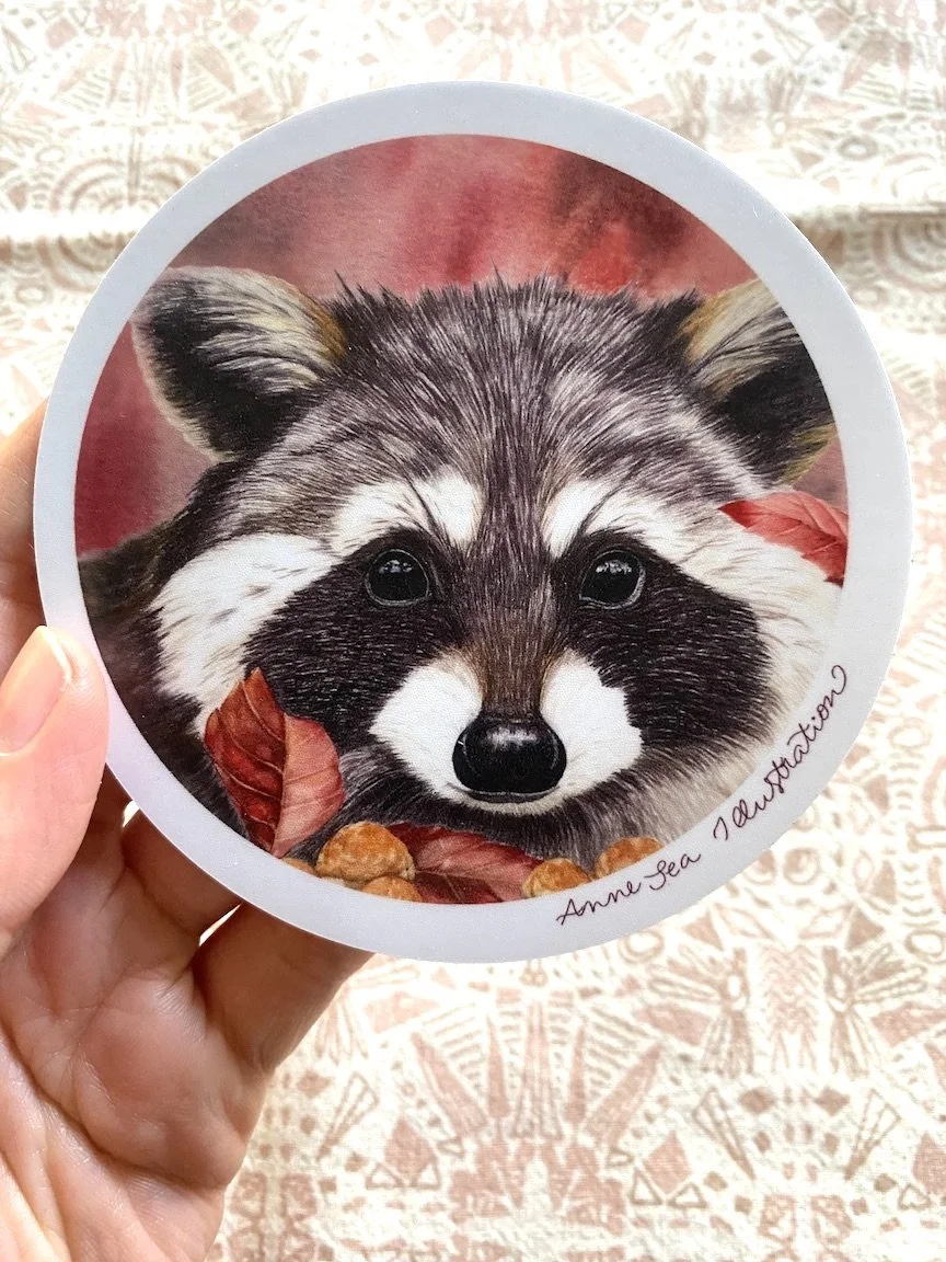 raccoon sticker .JPG