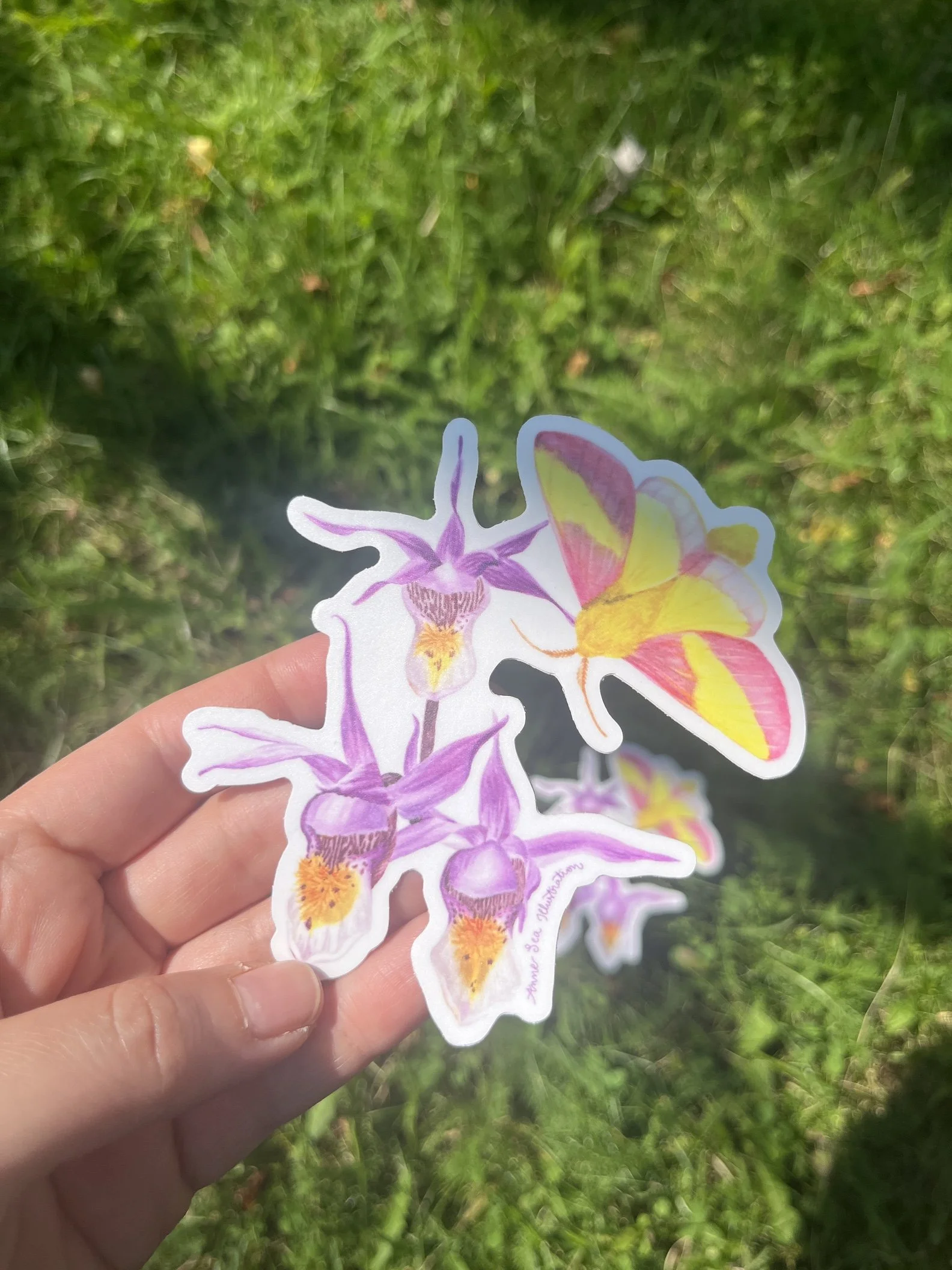 maple moth sticker 2.JPG