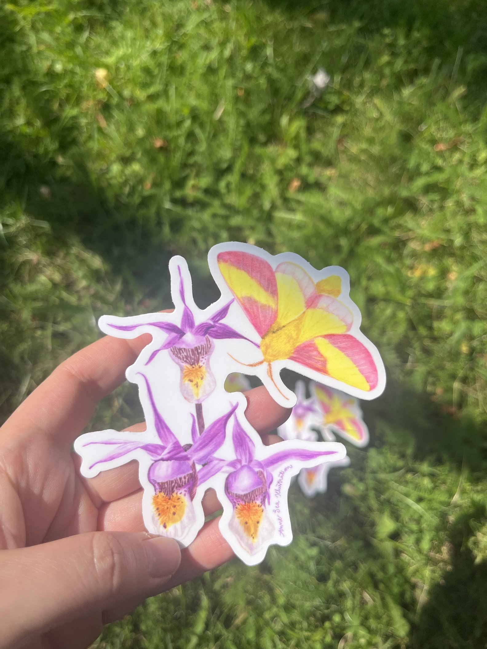 maple moth sticker 1.JPG